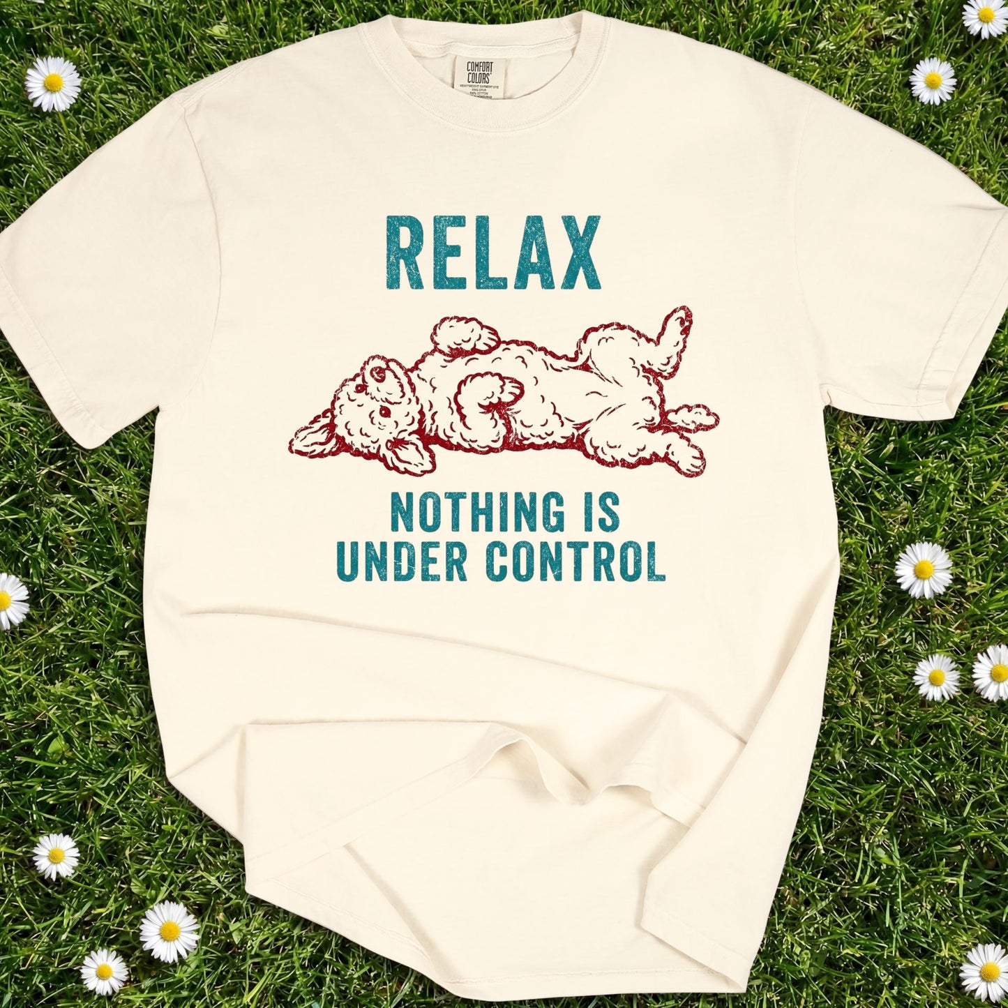 Relax Nothing Is Under Control - Comfort Colors Premium Tee