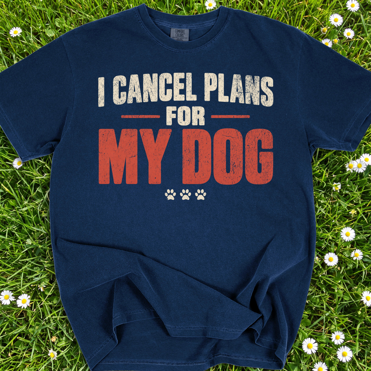 I Cancel Plans For My Dog
