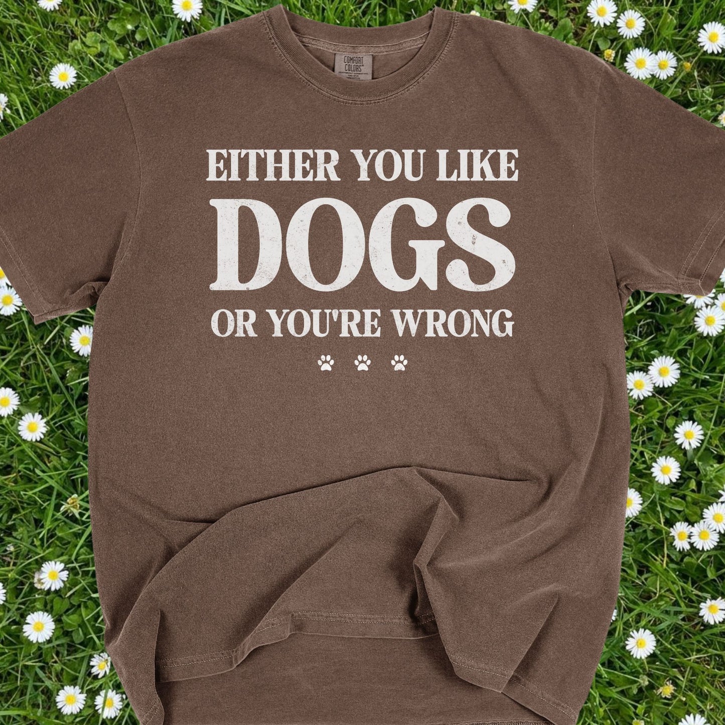 Either You Like Dogs Or You're Wrong - Comfort Colors Premium Tee