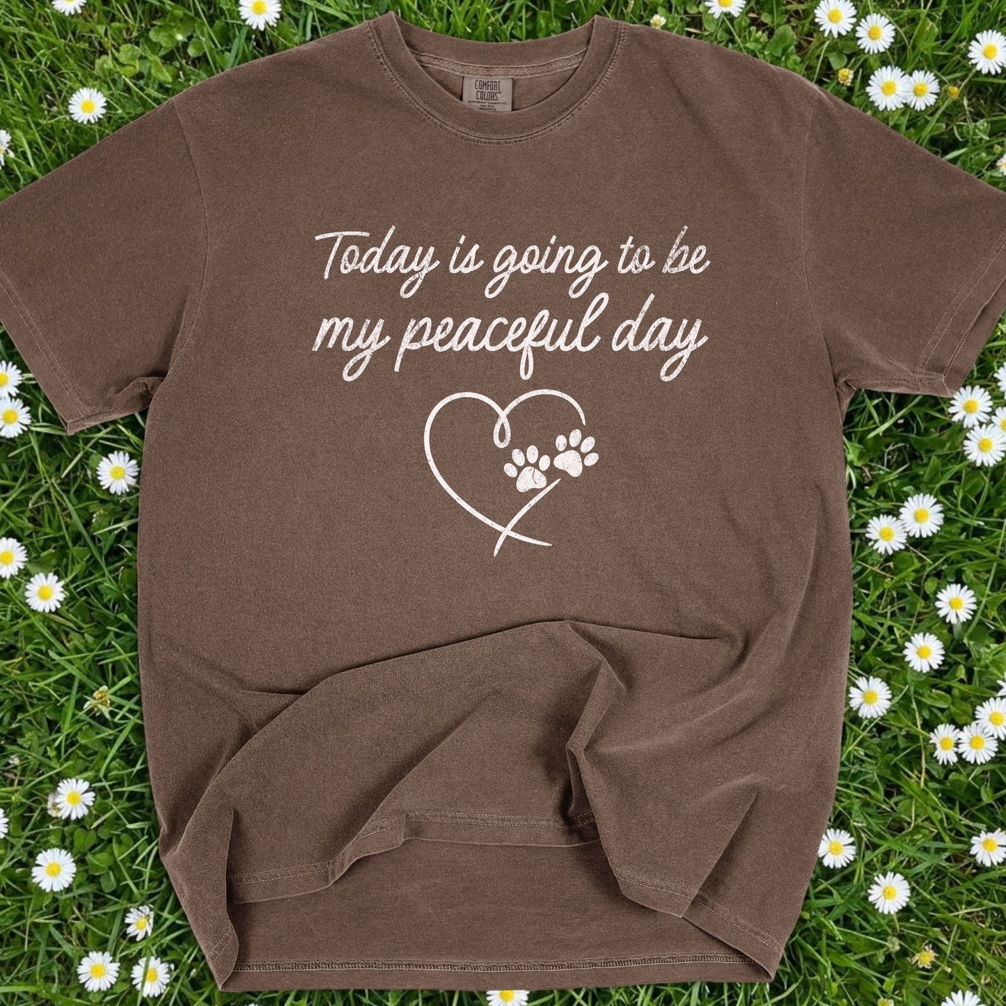 Today Is Going To Be My Peaceful Day - Comfort Colors Premium Tee