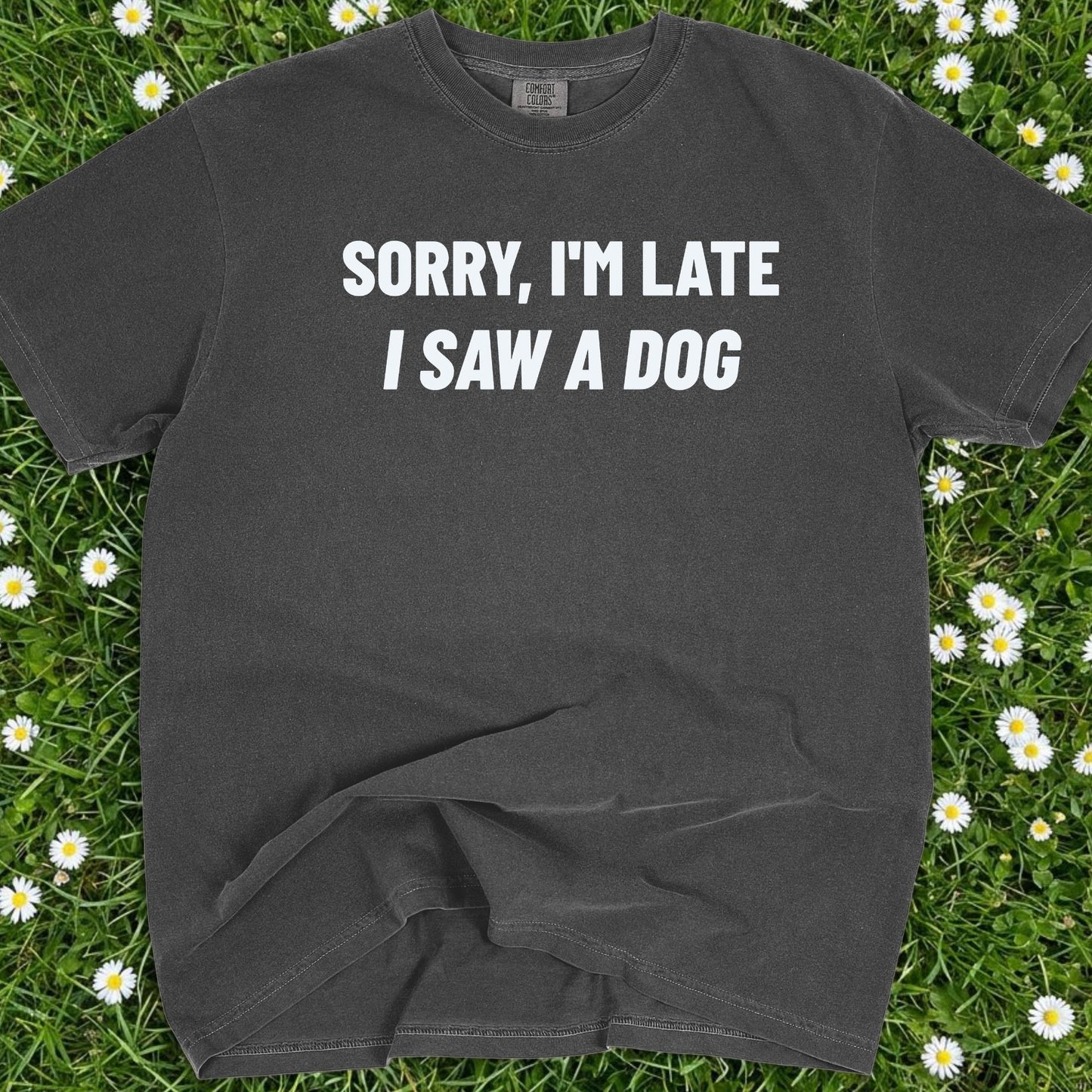 Sorry I'm Late I Saw A Dog - Comfort Colors Premium Tee