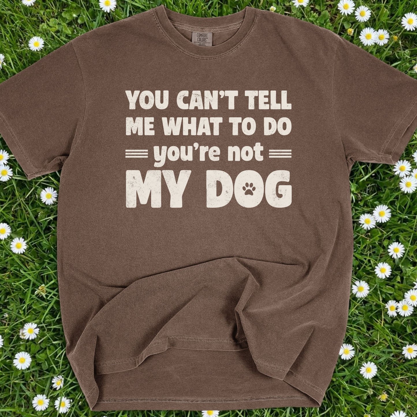 You Can't Tell Me What To Do - Comfort Colors Premium Tee