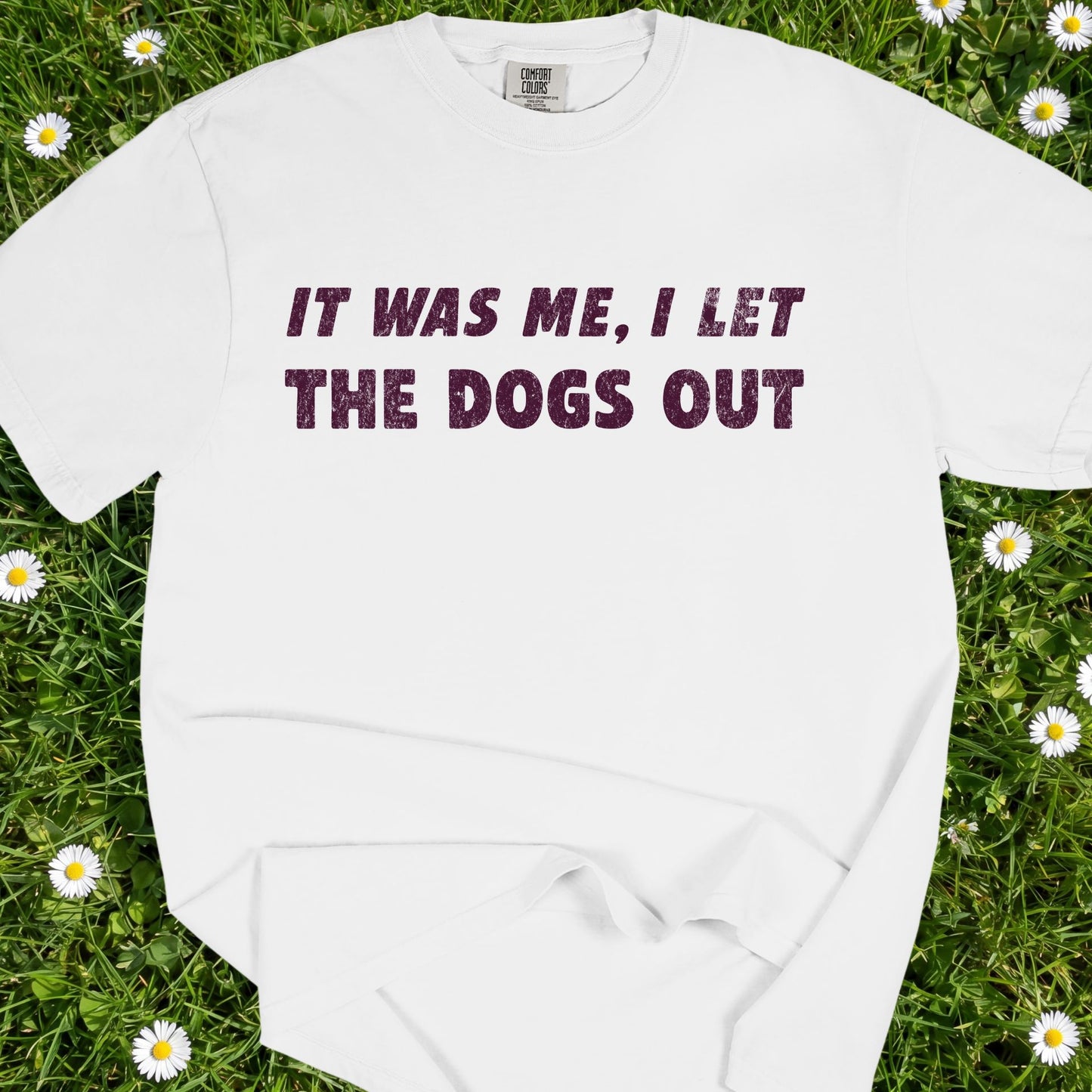 It Was Me I Let The Dogs Out - Comfort Colors Premium Tee