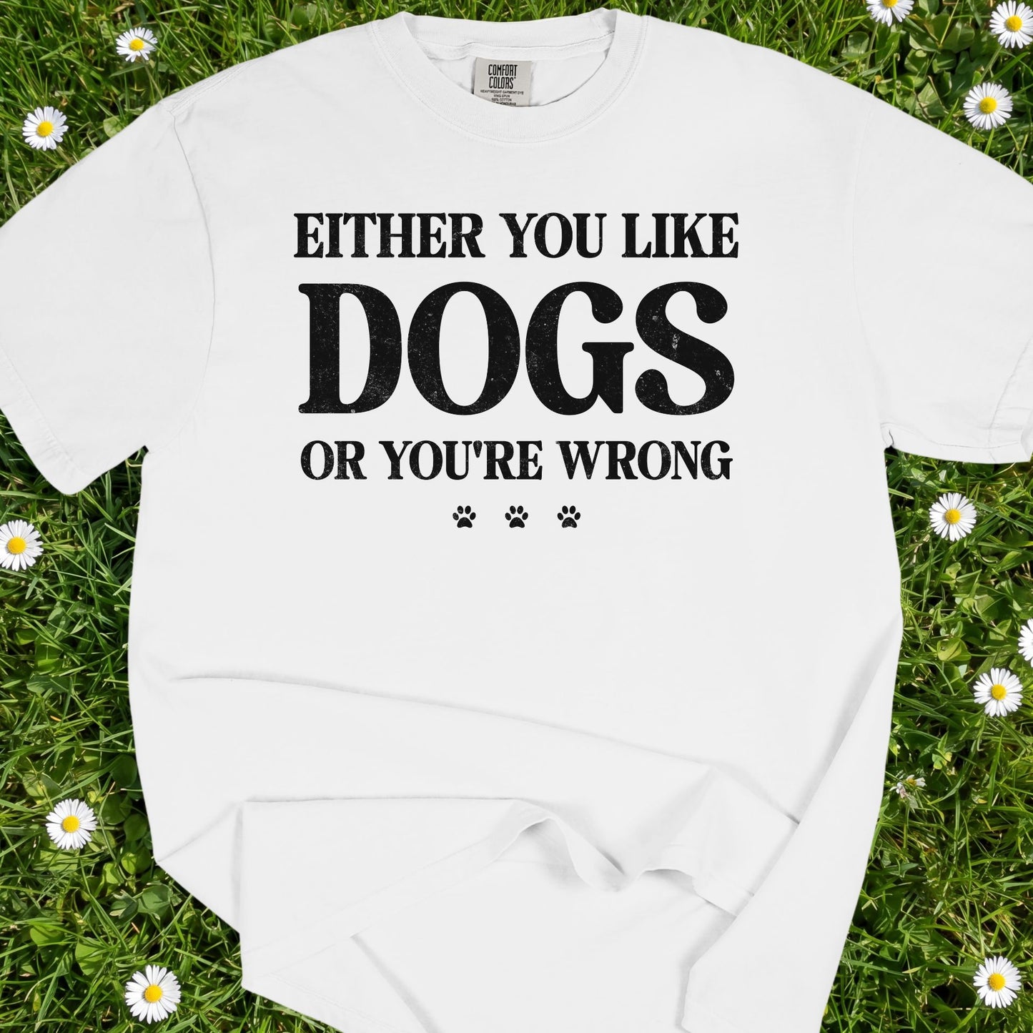 Either You Like Dogs Or You're Wrong - Comfort Colors Premium Tee