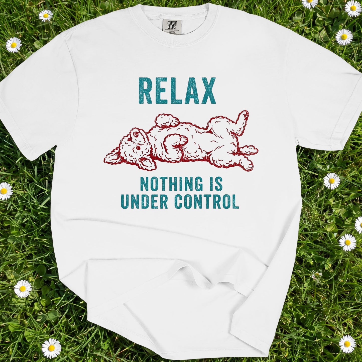 Relax Nothing Is Under Control - Comfort Colors Premium Tee