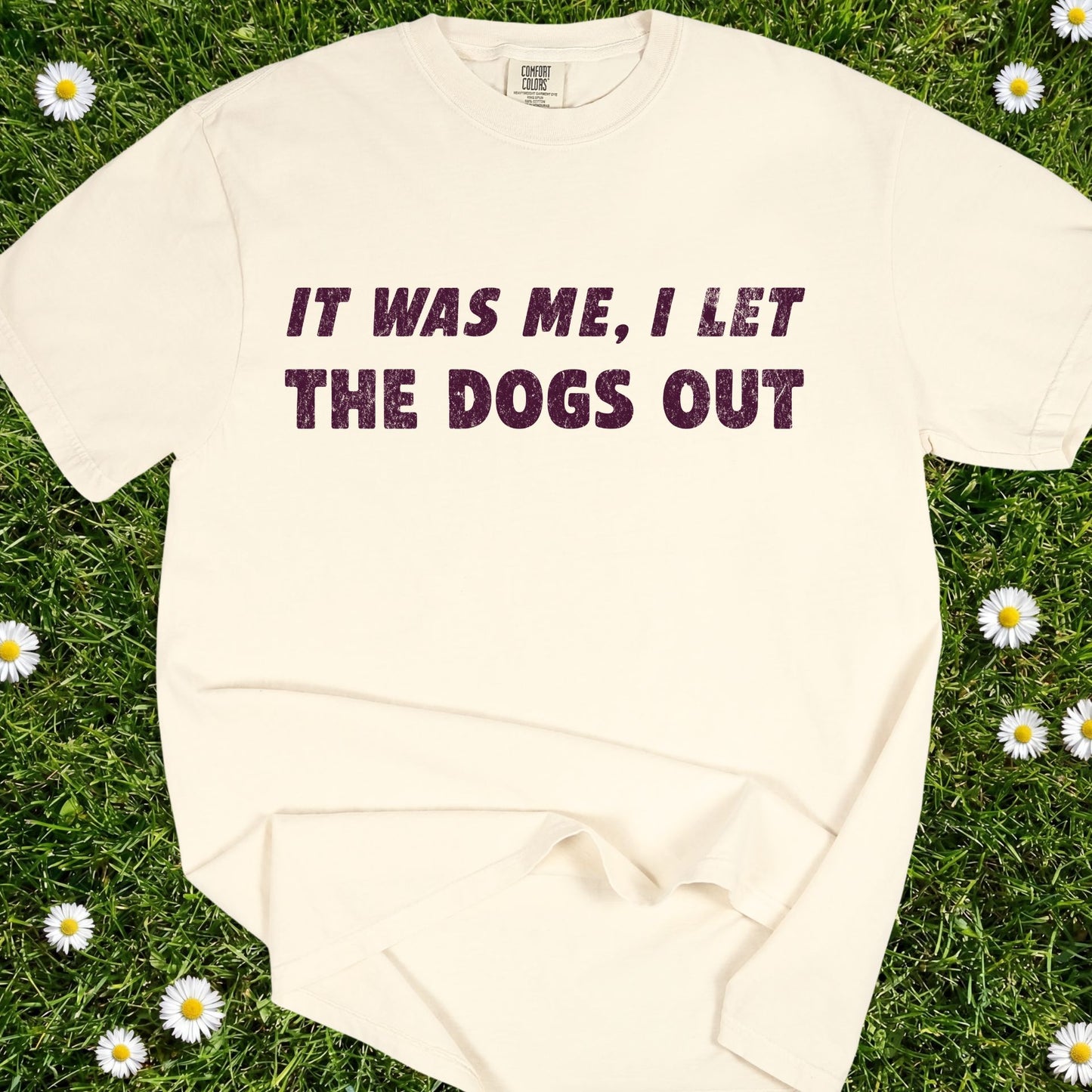 It Was Me I Let The Dogs Out - Comfort Colors Premium Tee