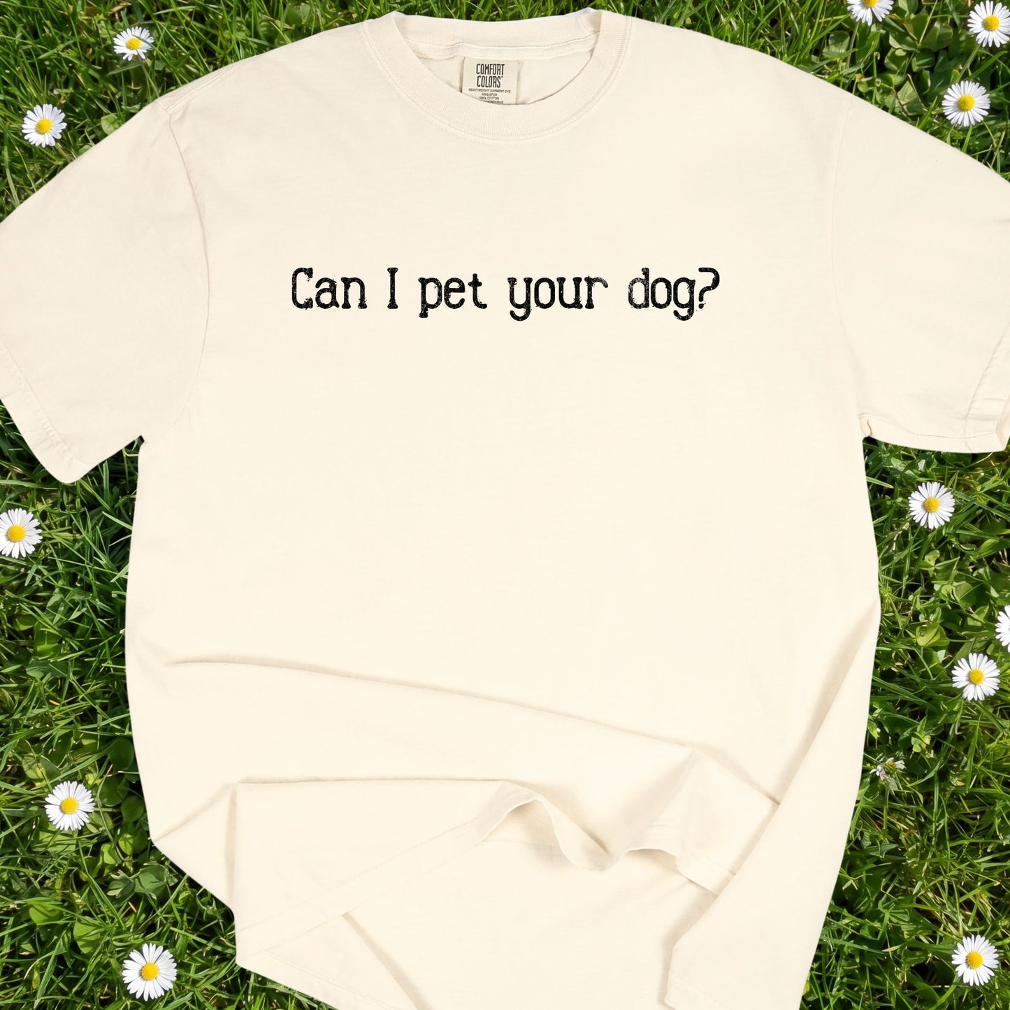 Can I Pet Your Dog - Comfort Colors Premium Tee