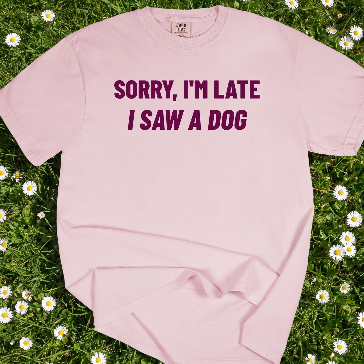 Sorry I'm Late I Saw A Dog - Comfort Colors Premium Tee