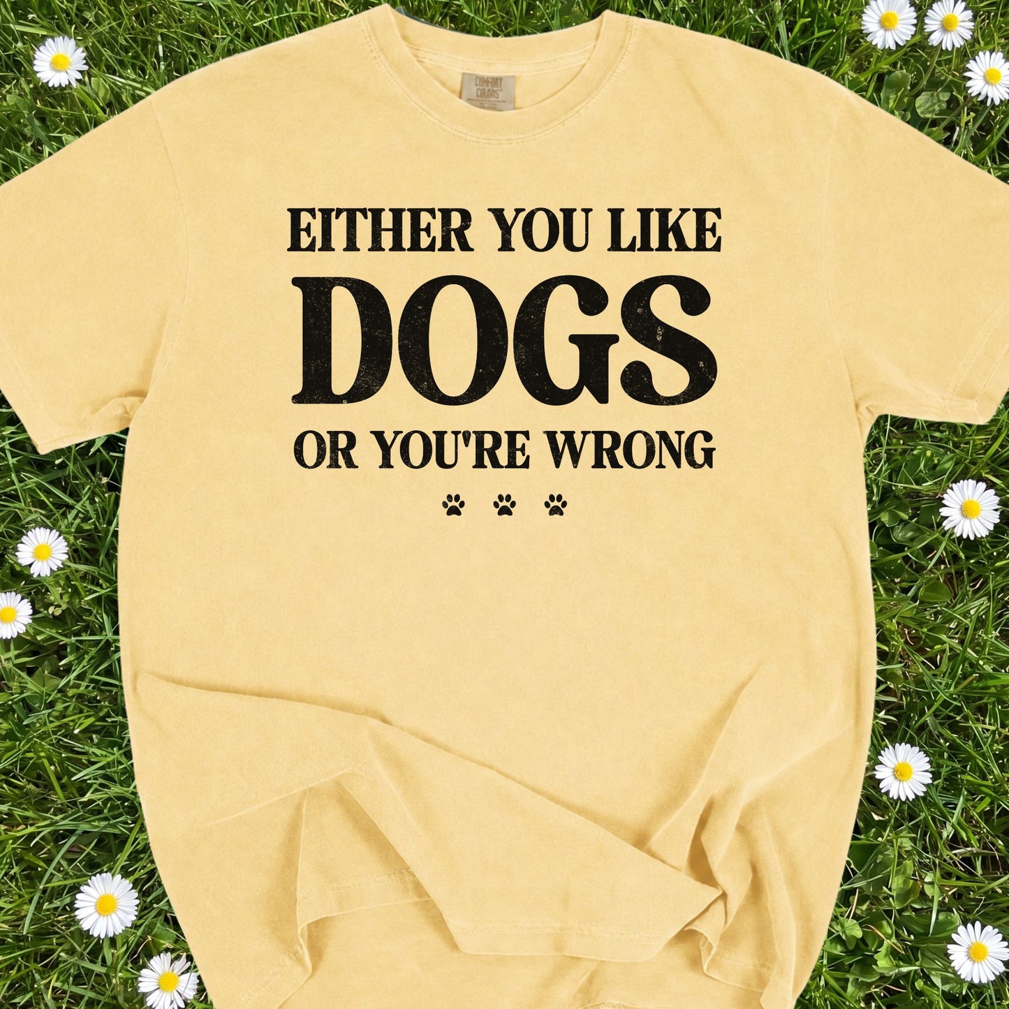 Either You Like Dogs Or You're Wrong - Comfort Colors Premium Tee