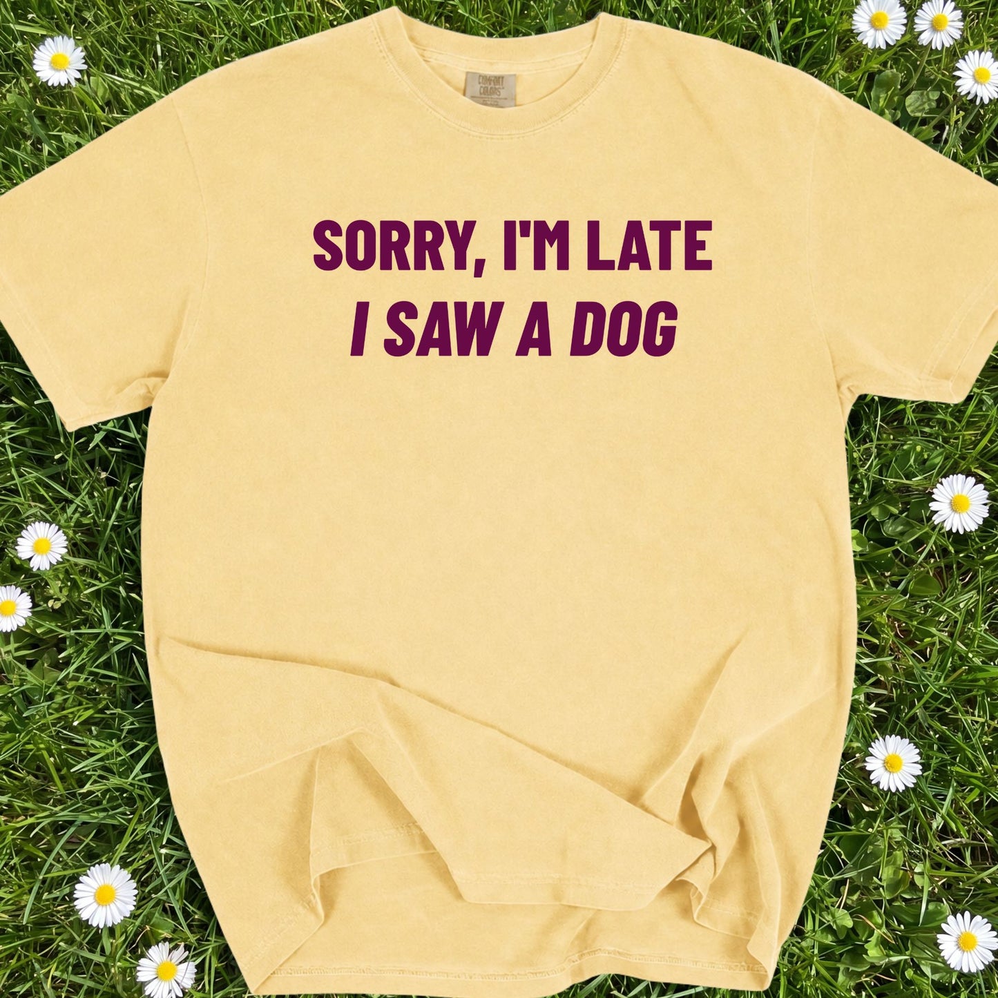 Sorry I'm Late I Saw A Dog - Comfort Colors Premium Tee