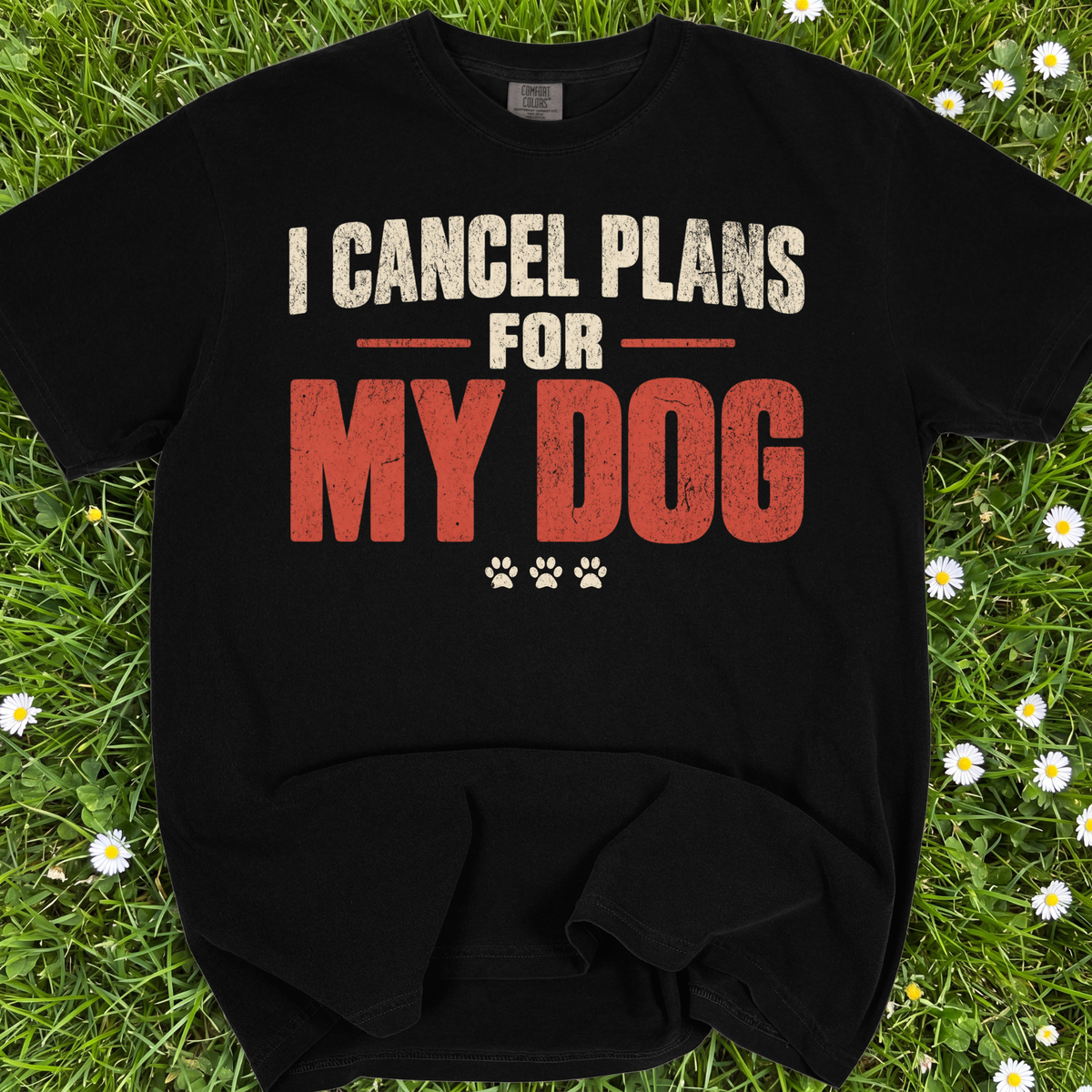 I Cancel Plans For My Dog