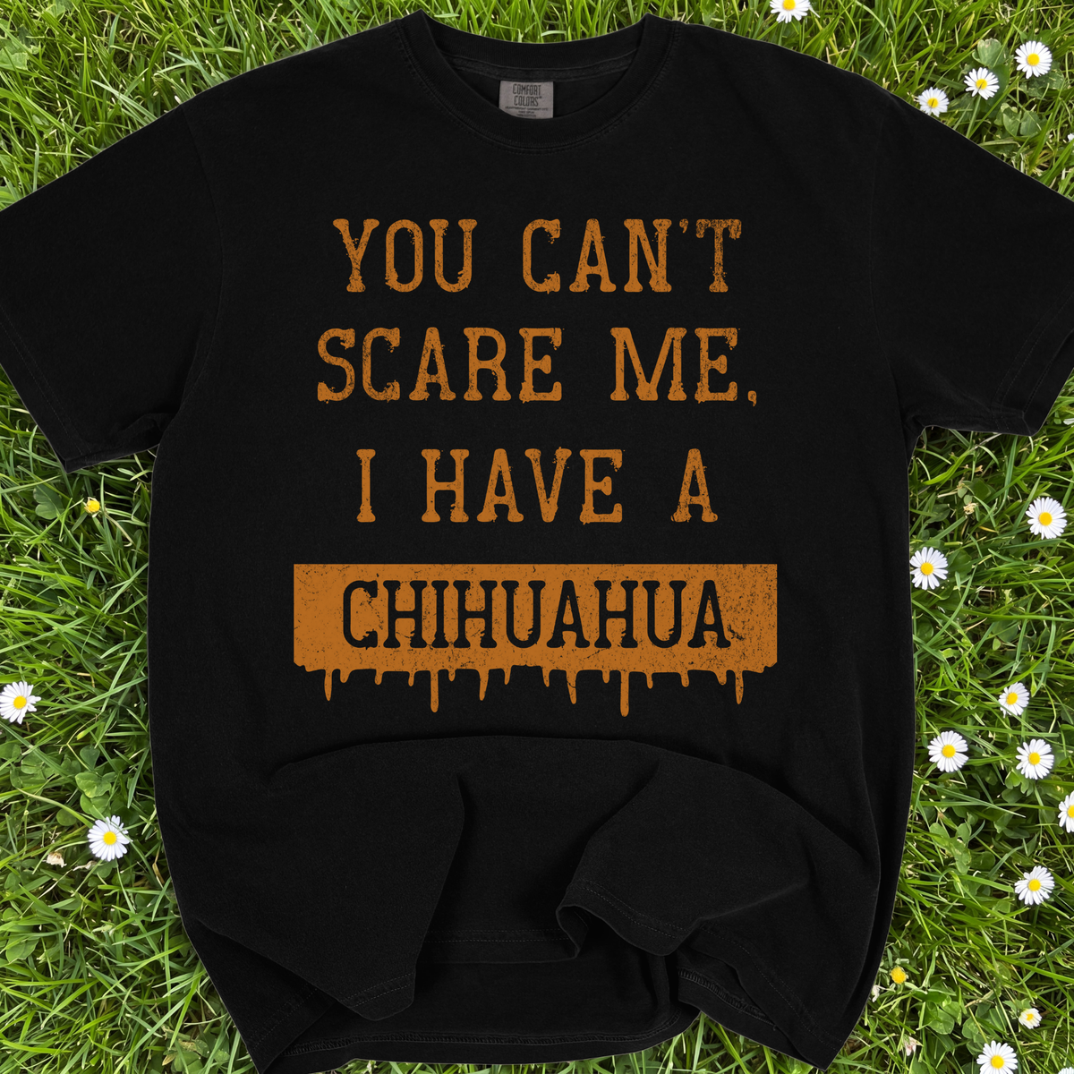 You Can't Scare Me I Have A Chihuahua