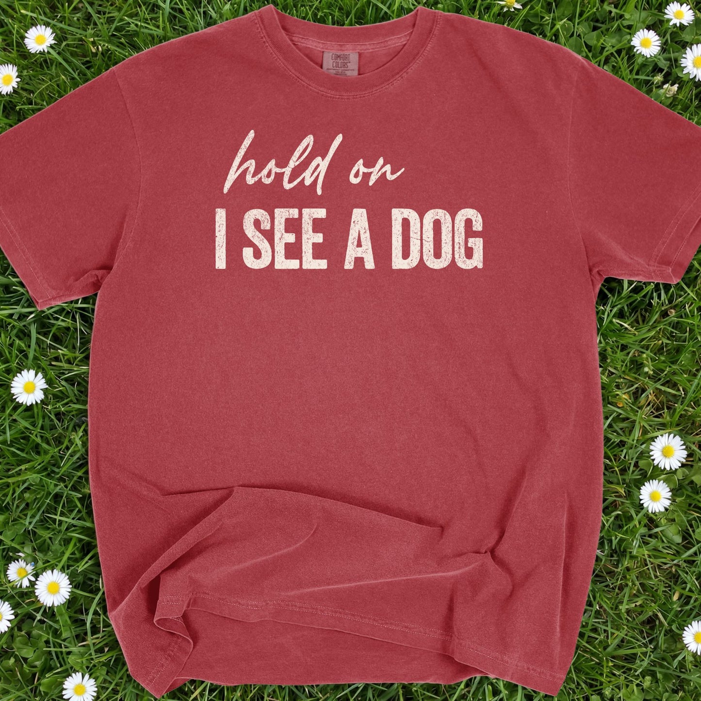 Hold On I See A Dog - Comfort Colors Premium Tee