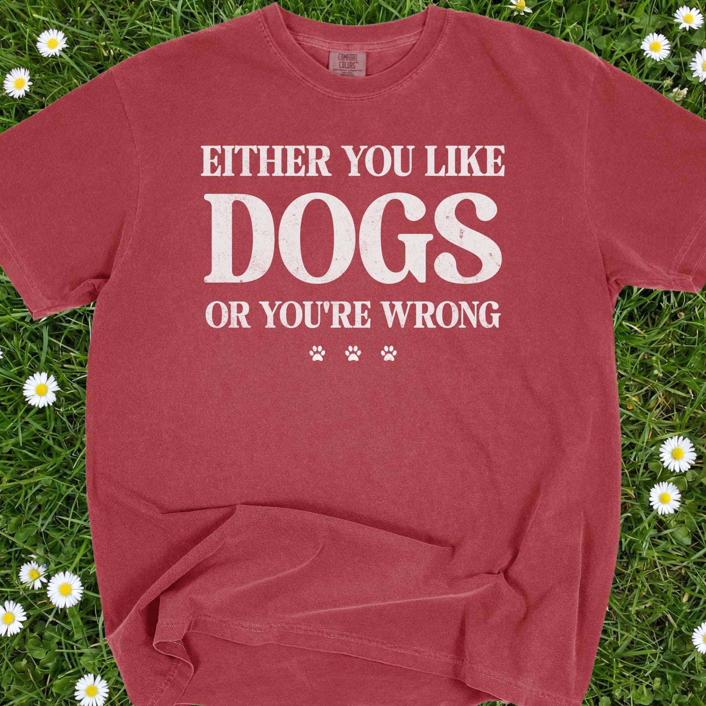 Either You Like Dogs Or You're Wrong - Comfort Colors Premium Tee