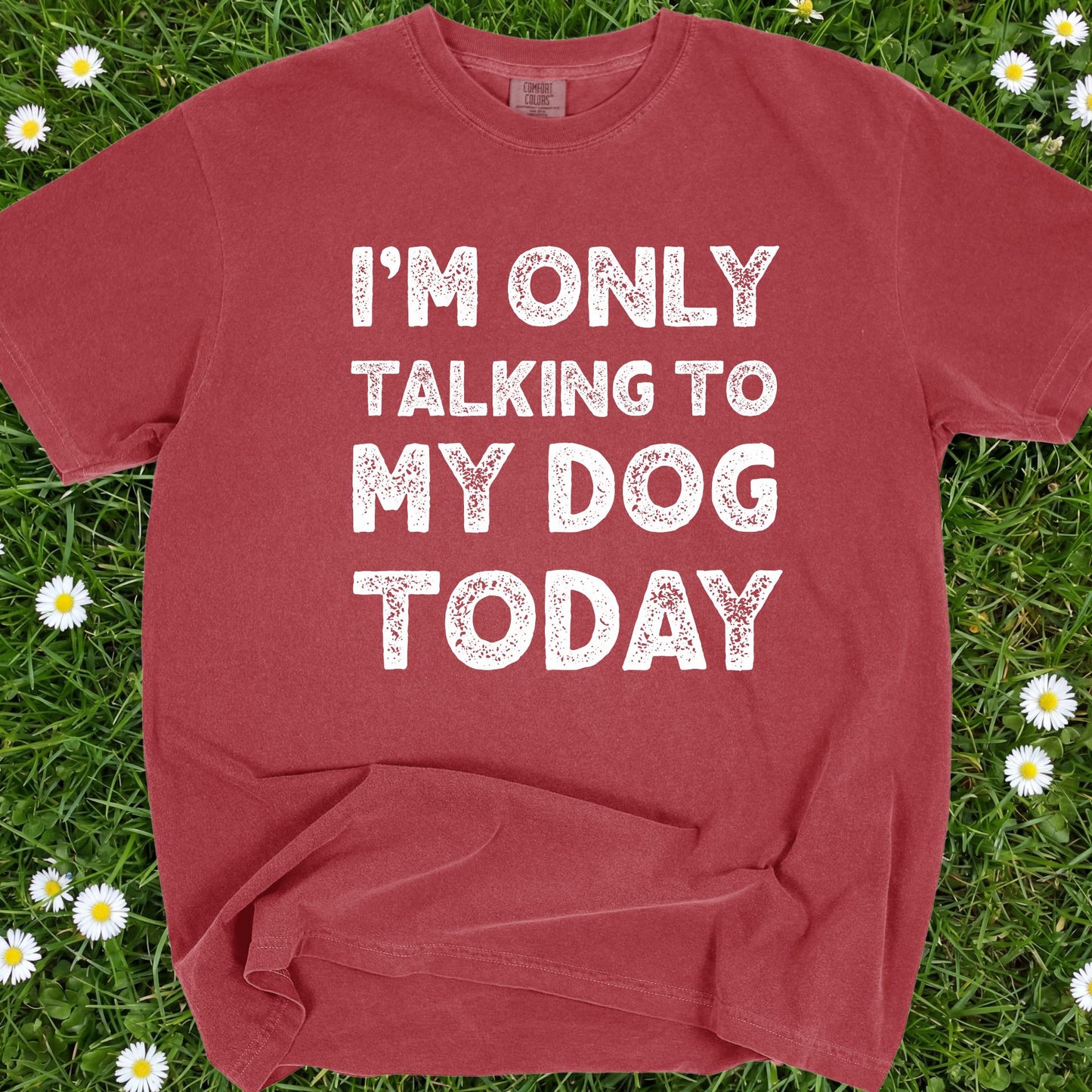 I'm Only Talking To My Dog Today - Comfort Colors Premium Tee