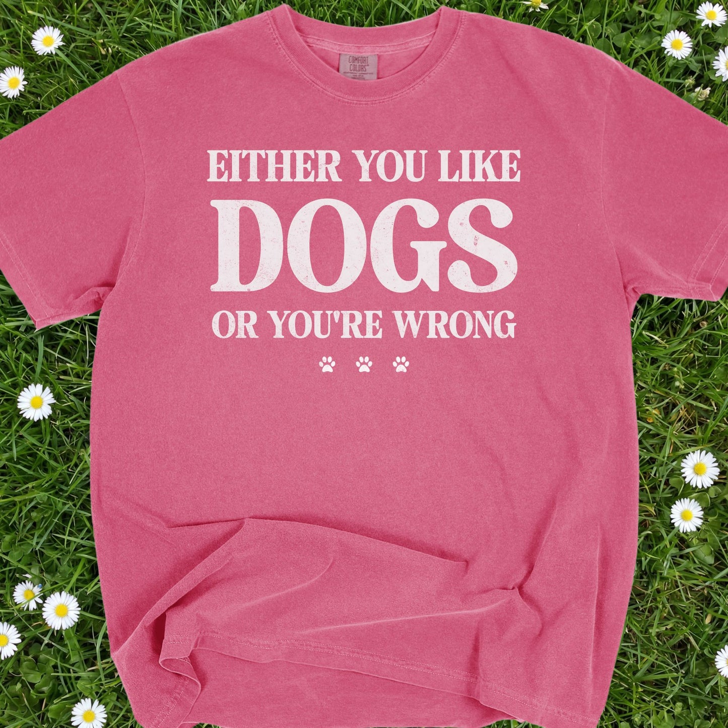 Either You Like Dogs Or You're Wrong - Comfort Colors Premium Tee