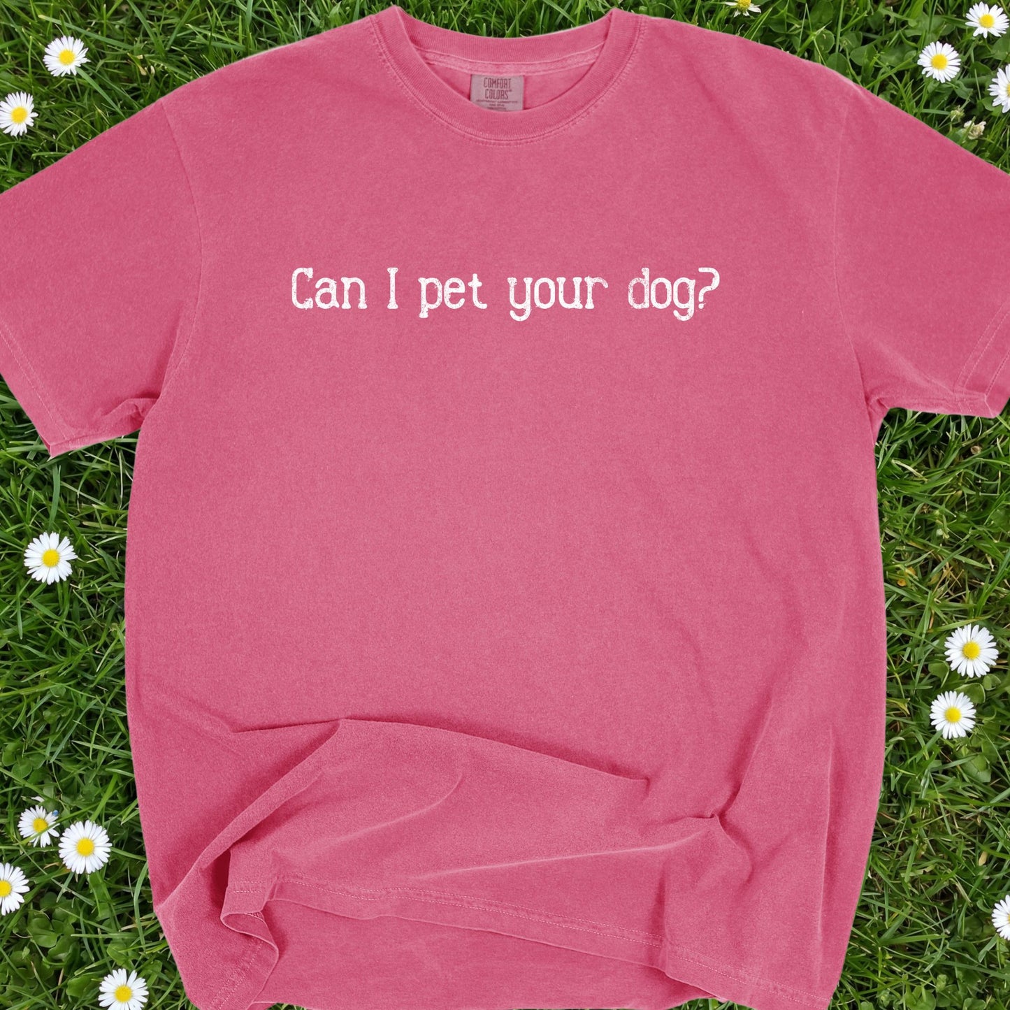 Can I Pet Your Dog - Comfort Colors Premium Tee