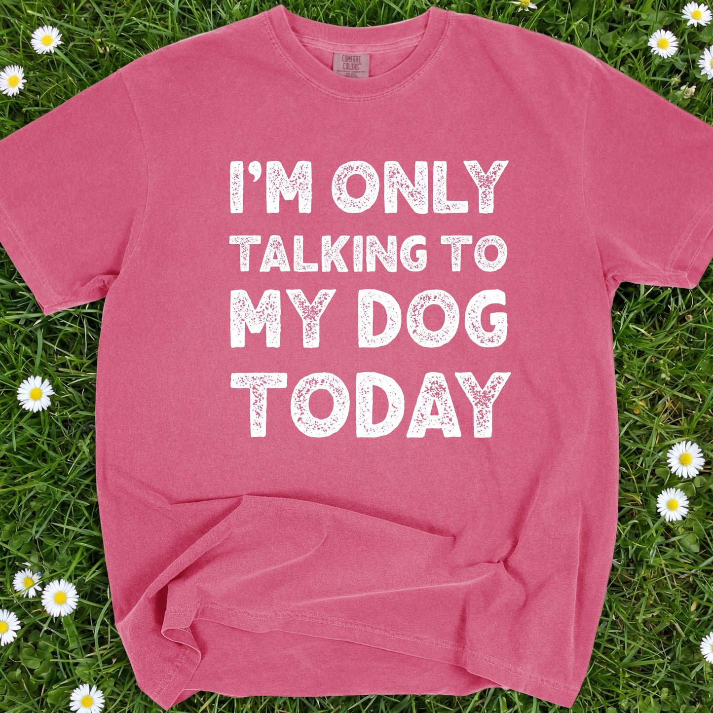 I'm Only Talking To My Dog Today - Comfort Colors Premium Tee