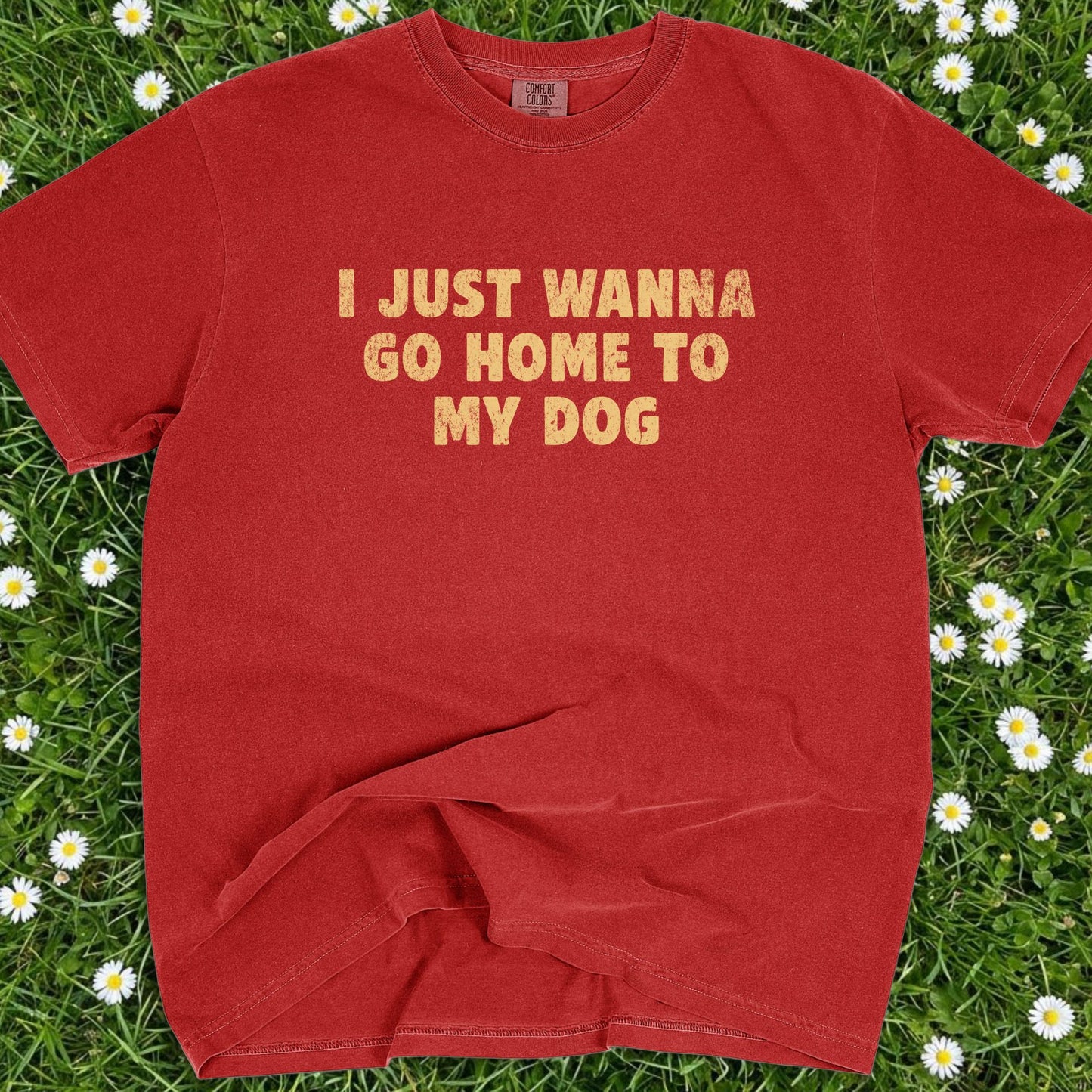 I Just Wanna Go Home To My Dog - Comfort Colors Premium Tee