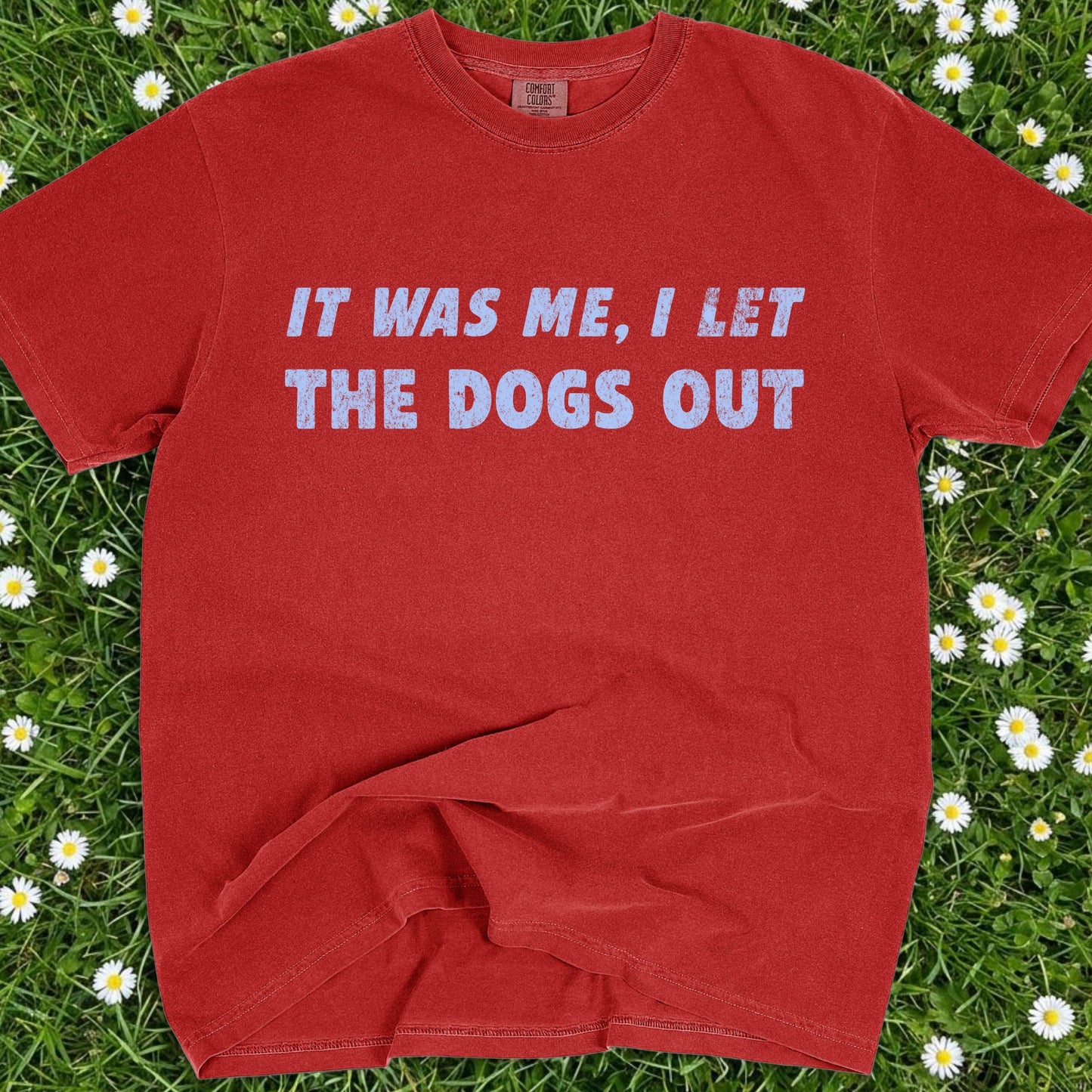 It Was Me I Let The Dogs Out - Comfort Colors Premium Tee
