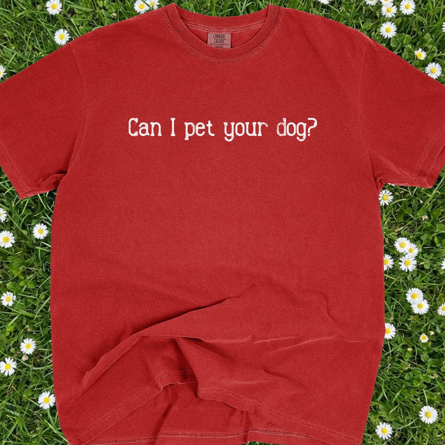 Can I Pet Your Dog - Comfort Colors Premium Tee