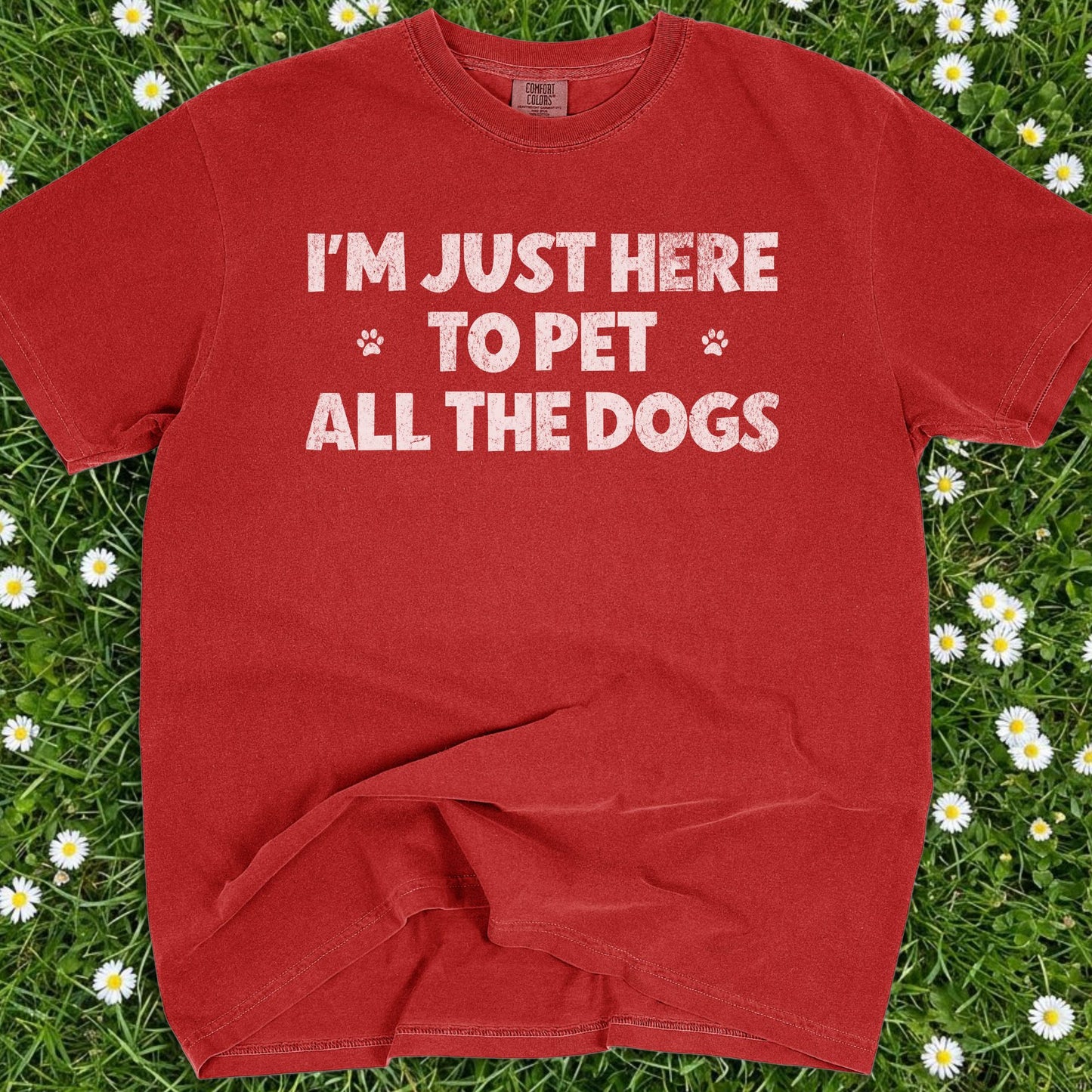 I'm Just Here To Pet All The Dogs - Comfort Colors Premium Tee