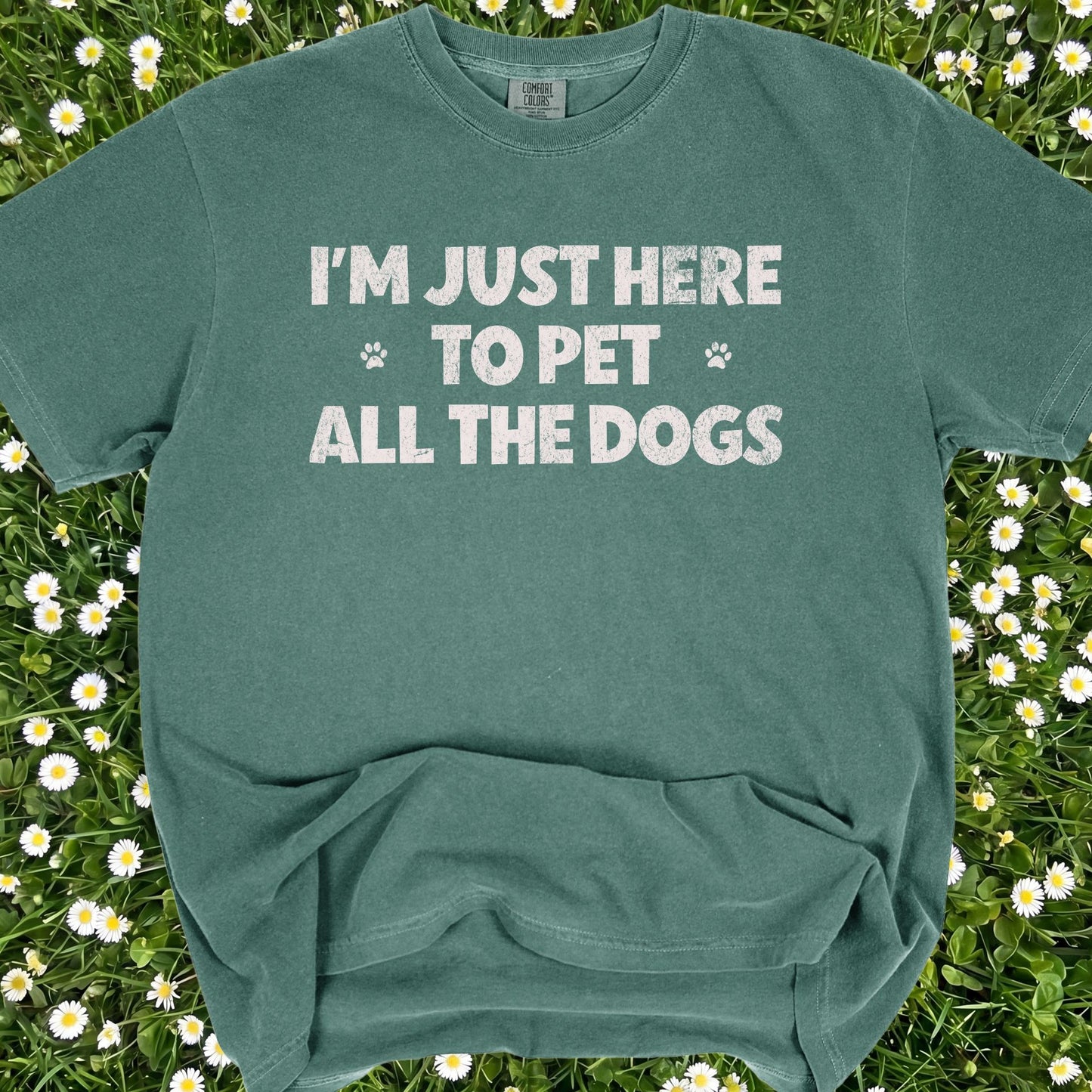 I'm Just Here To Pet All The Dogs - Comfort Colors Premium Tee