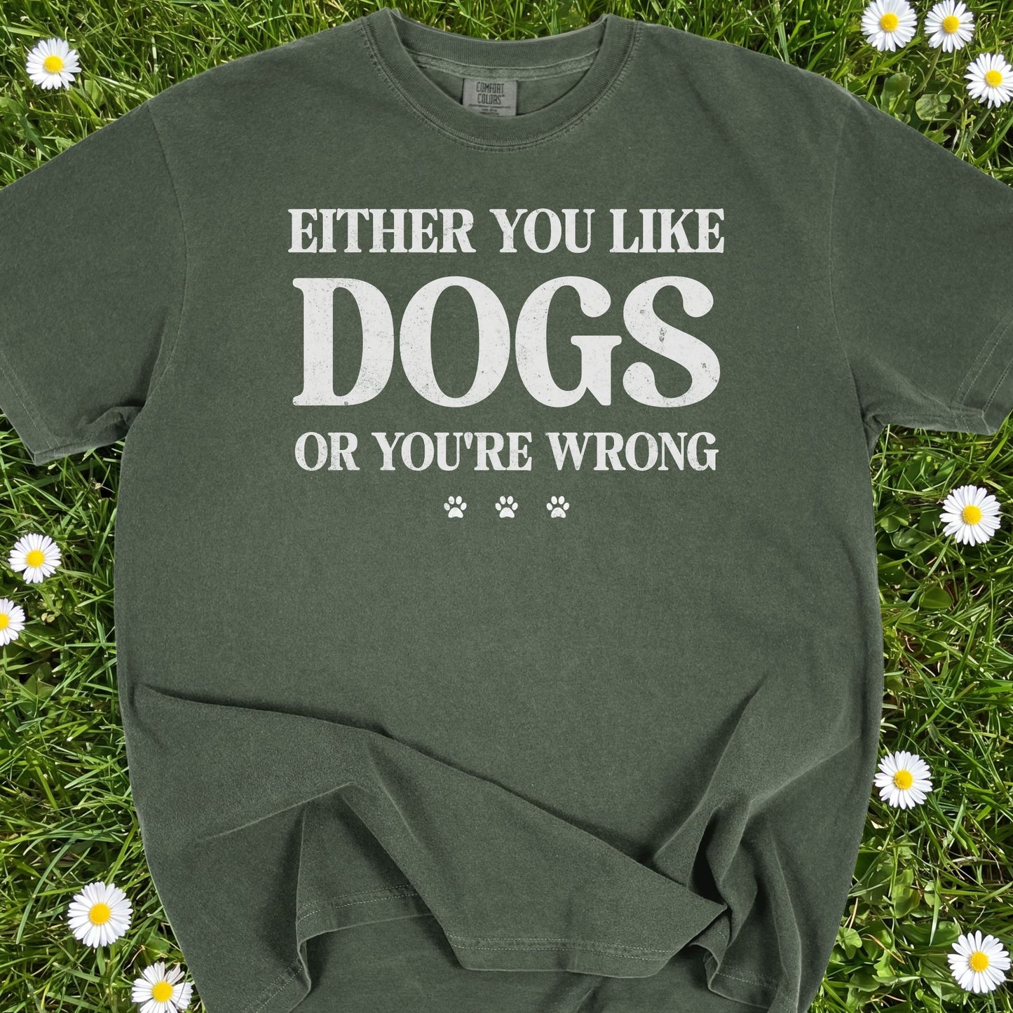 Either You Like Dogs Or You're Wrong - Comfort Colors Premium Tee