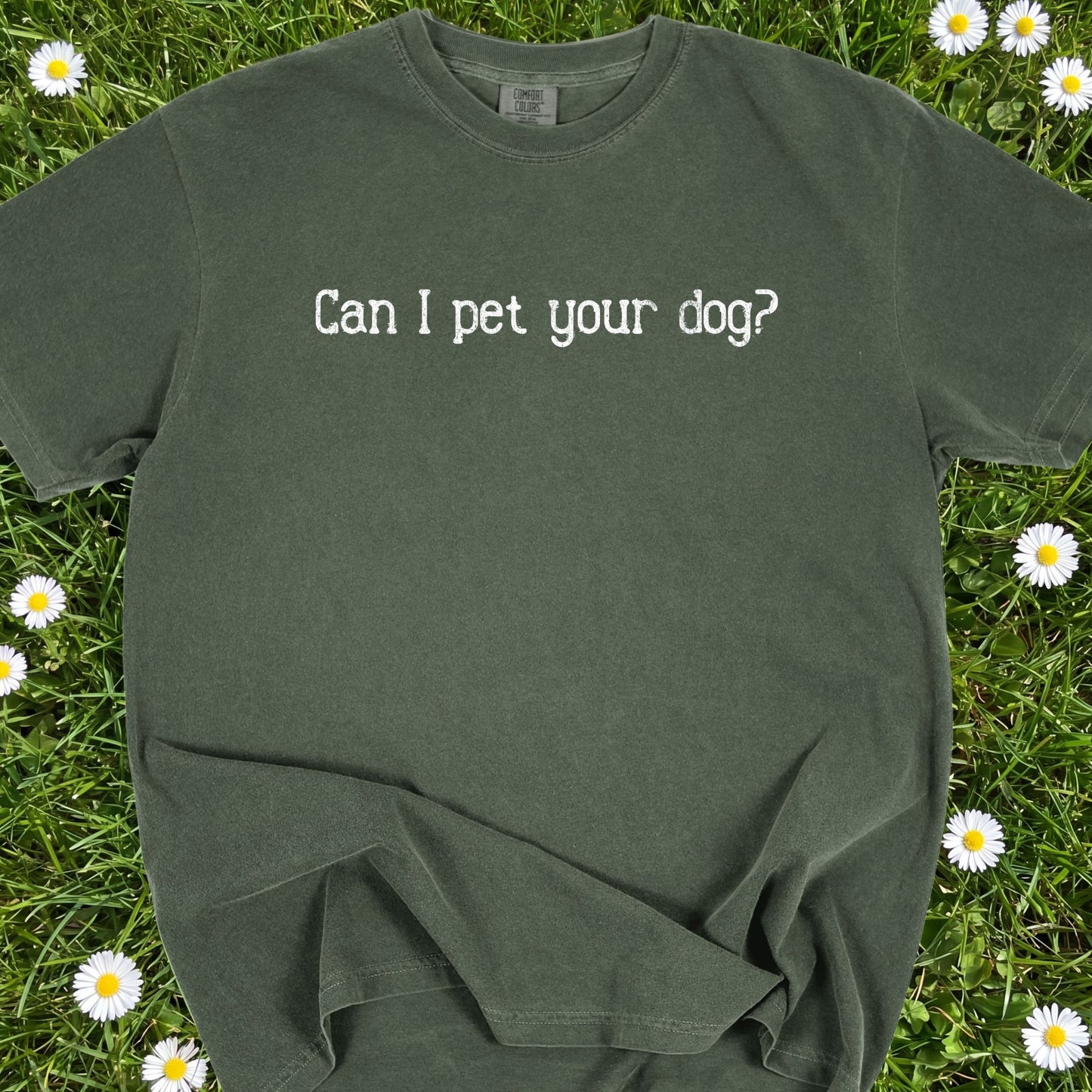 Can I Pet Your Dog - Comfort Colors Premium Tee