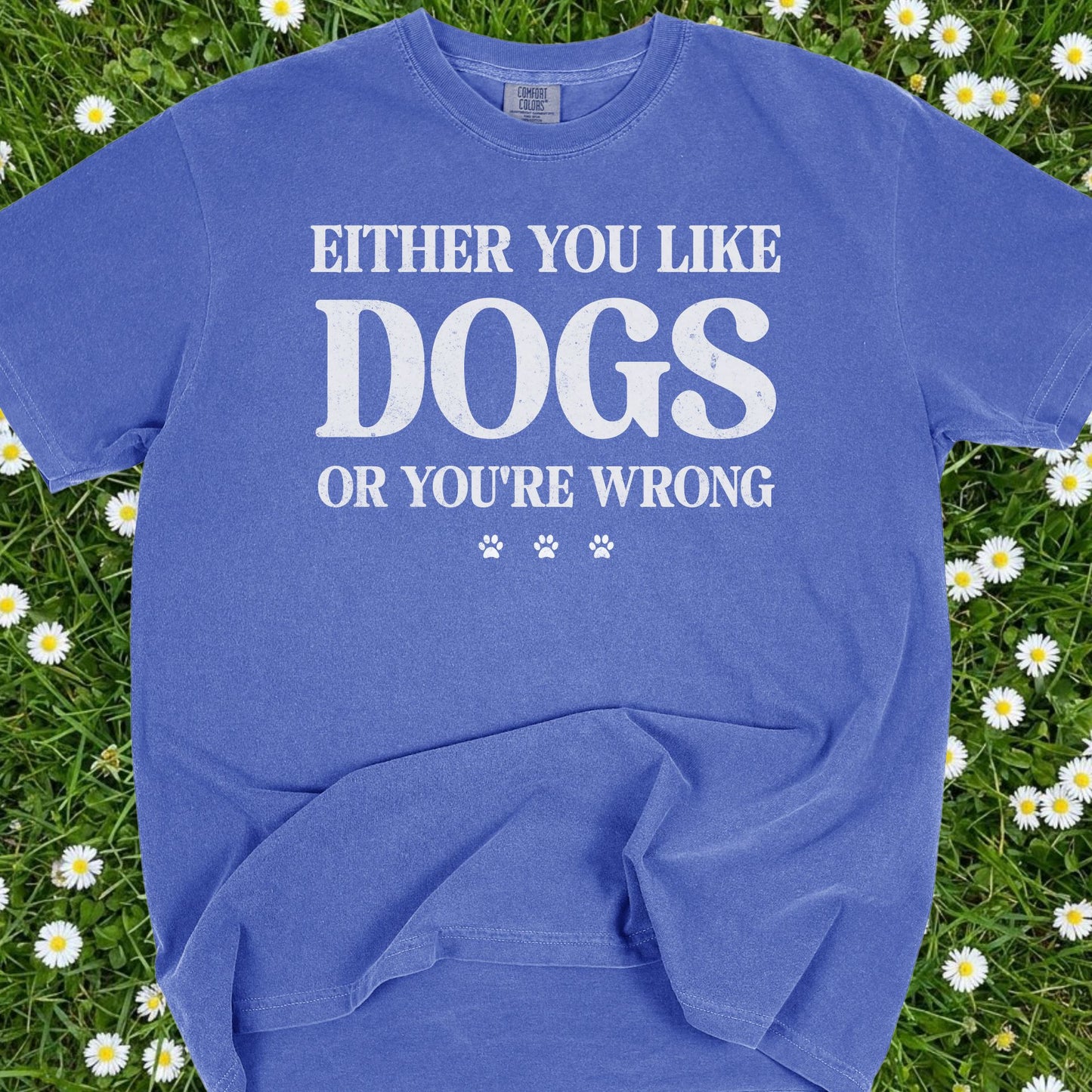 Either You Like Dogs Or You're Wrong - Comfort Colors Premium Tee