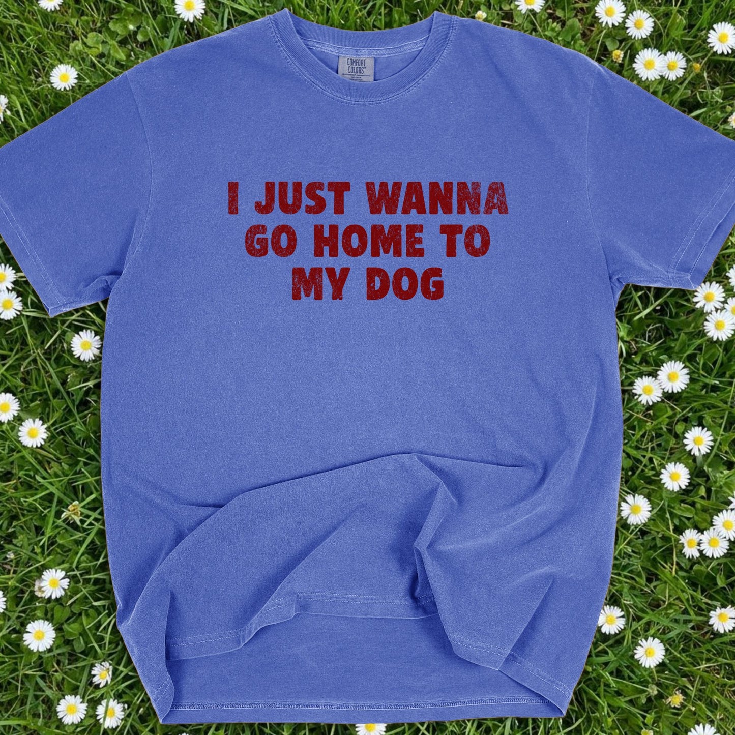 I Just Wanna Go Home To My Dog - Comfort Colors Premium Tee