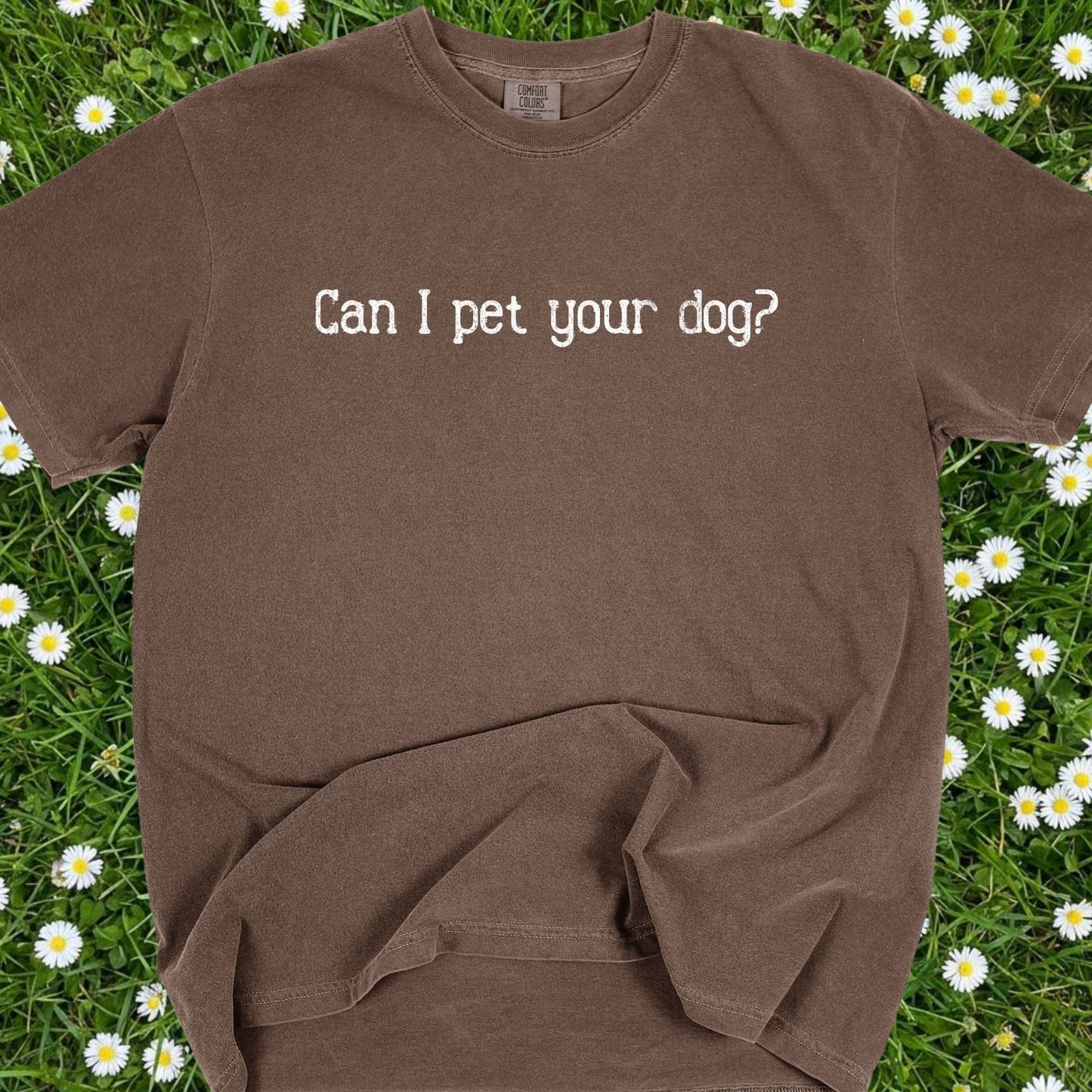 Can I Pet Your Dog - Comfort Colors Premium Tee