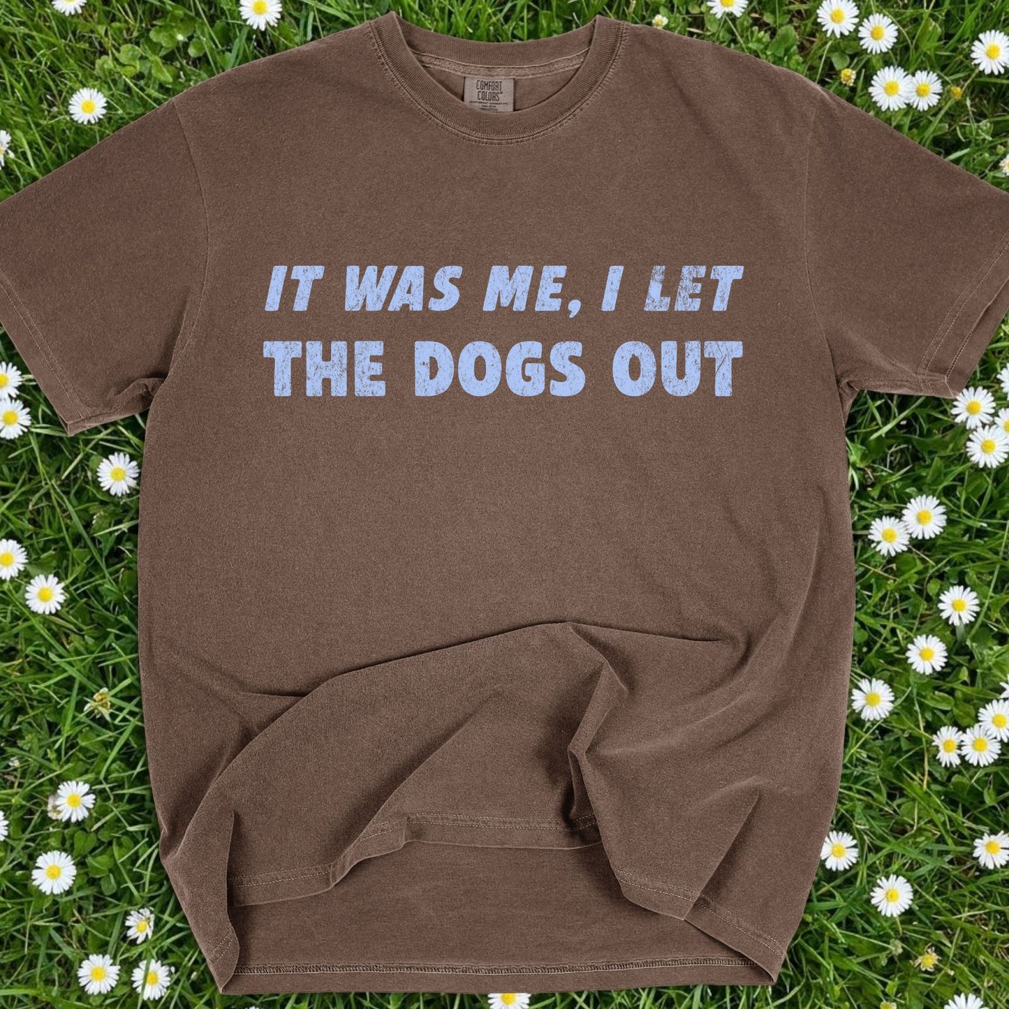 It Was Me I Let The Dogs Out - Comfort Colors Premium Tee