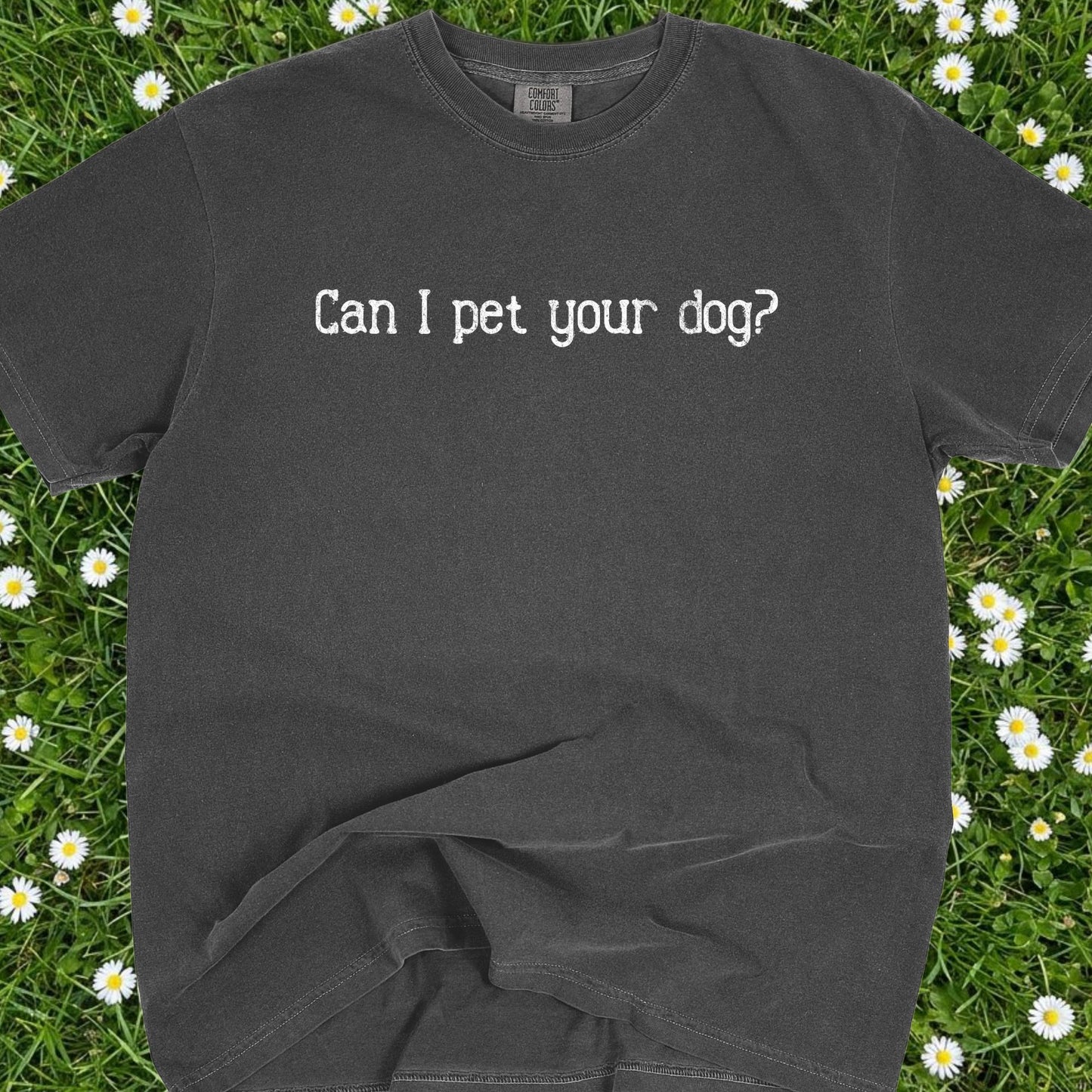 Can I Pet Your Dog - Comfort Colors Premium Tee