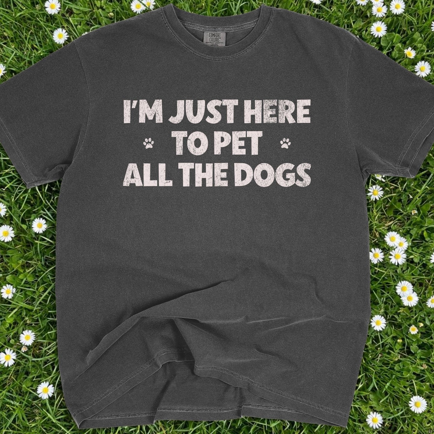 I'm Just Here To Pet All The Dogs - Comfort Colors Premium Tee