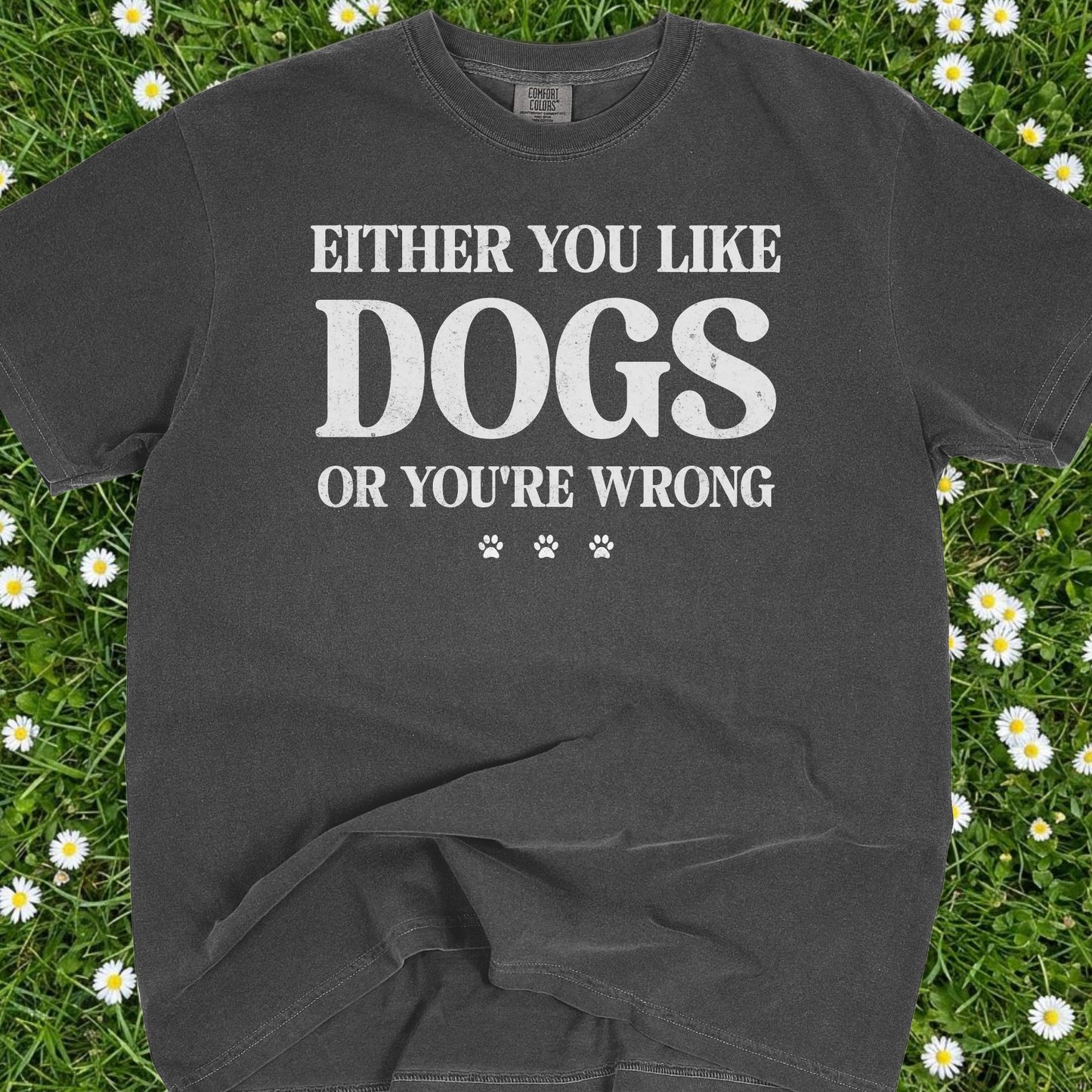Either You Like Dogs Or You're Wrong - Comfort Colors Premium Tee