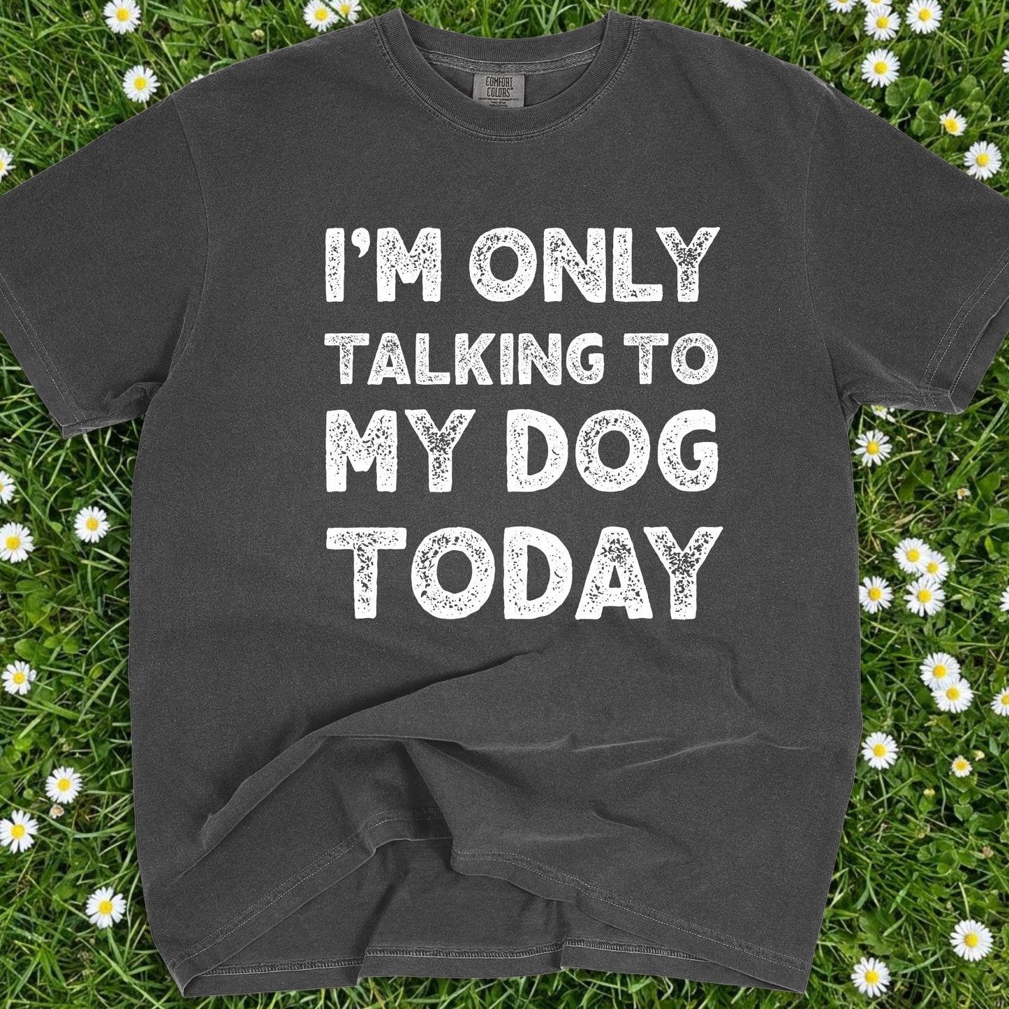 I'm Only Talking To My Dog Today - Comfort Colors Premium Tee