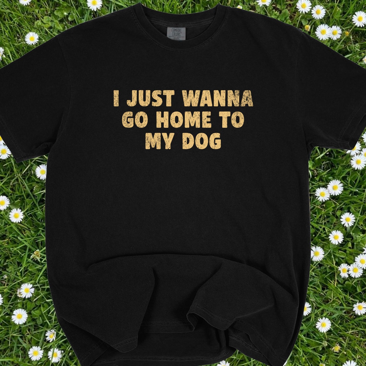 I Just Wanna Go Home To My Dog - Comfort Colors Premium Tee