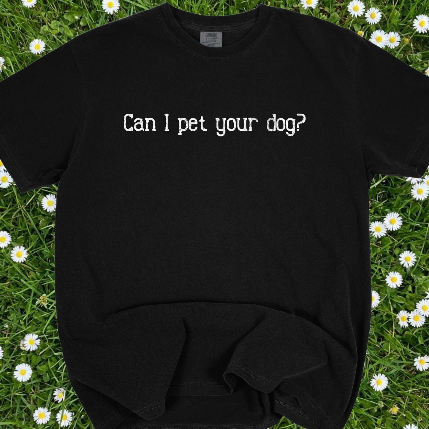 Can I Pet Your Dog - Comfort Colors Premium Tee