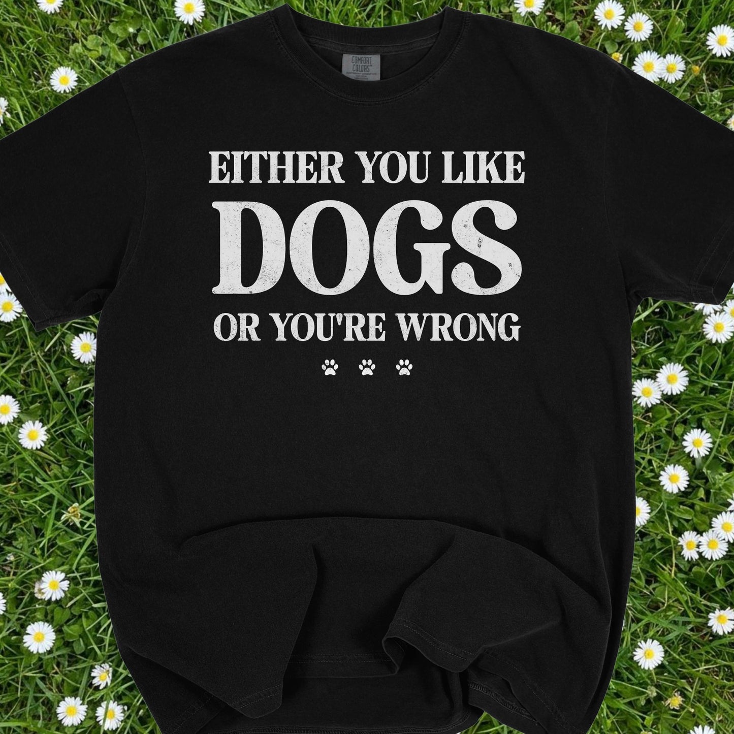 Either You Like Dogs Or You're Wrong - Comfort Colors Premium Tee