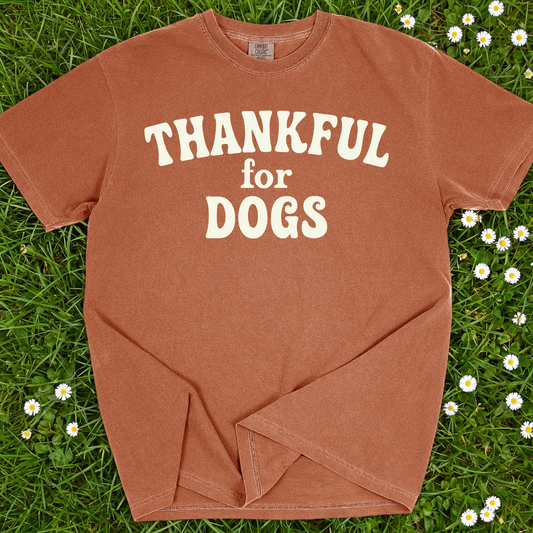 Thankful For Dogs