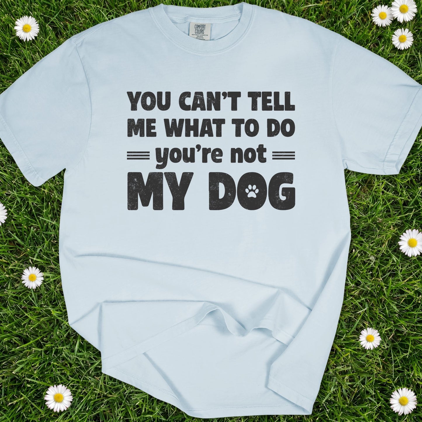 You Can't Tell Me What To Do - Comfort Colors Premium Tee