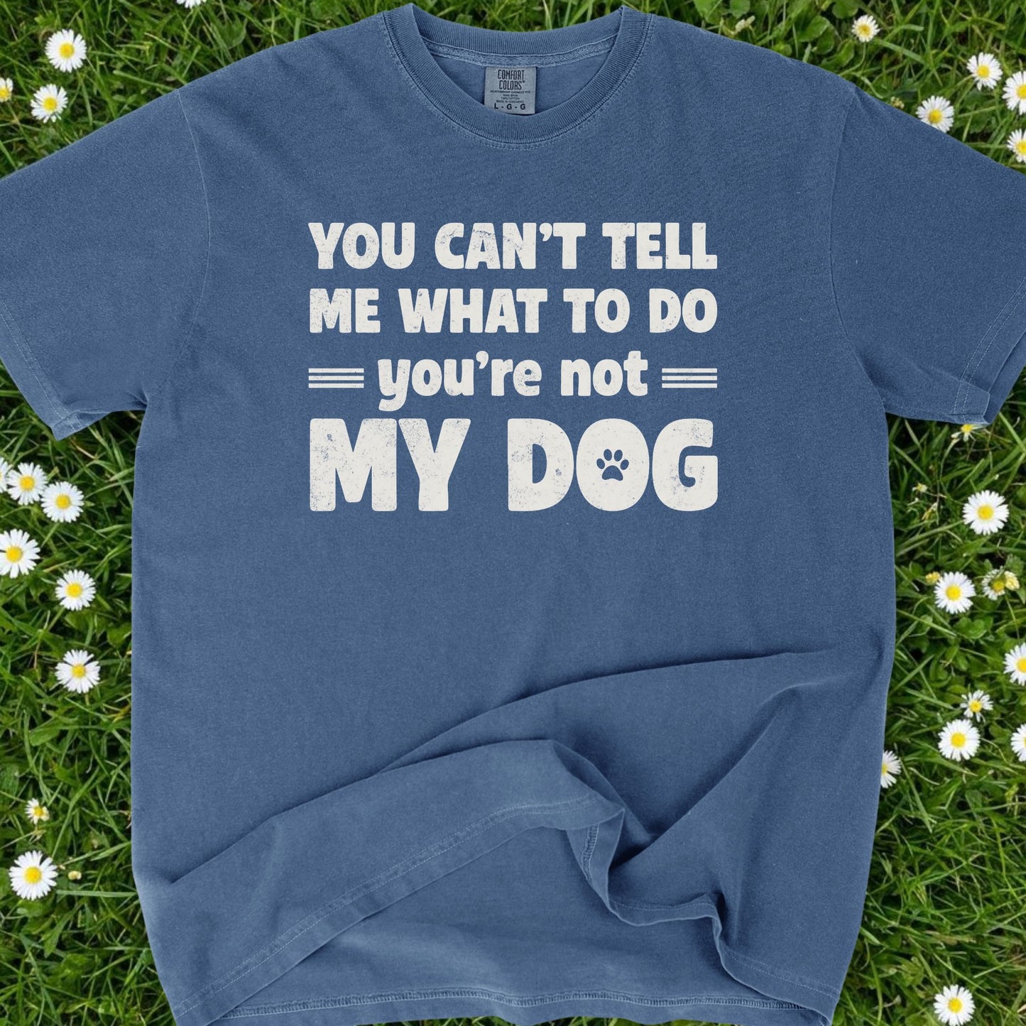 You Can't Tell Me What To Do - Comfort Colors Premium Tee