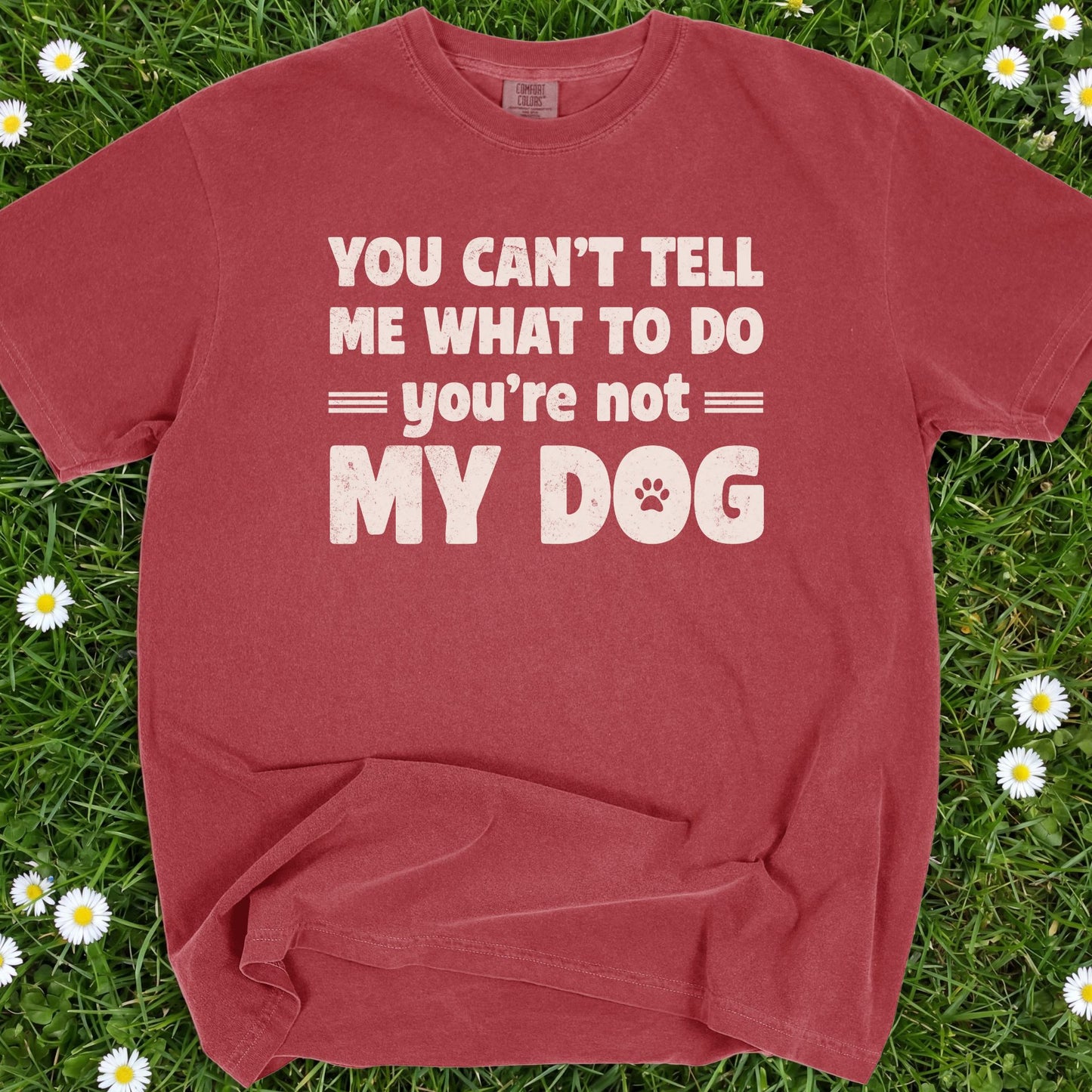 You Can't Tell Me What To Do - Comfort Colors Premium Tee