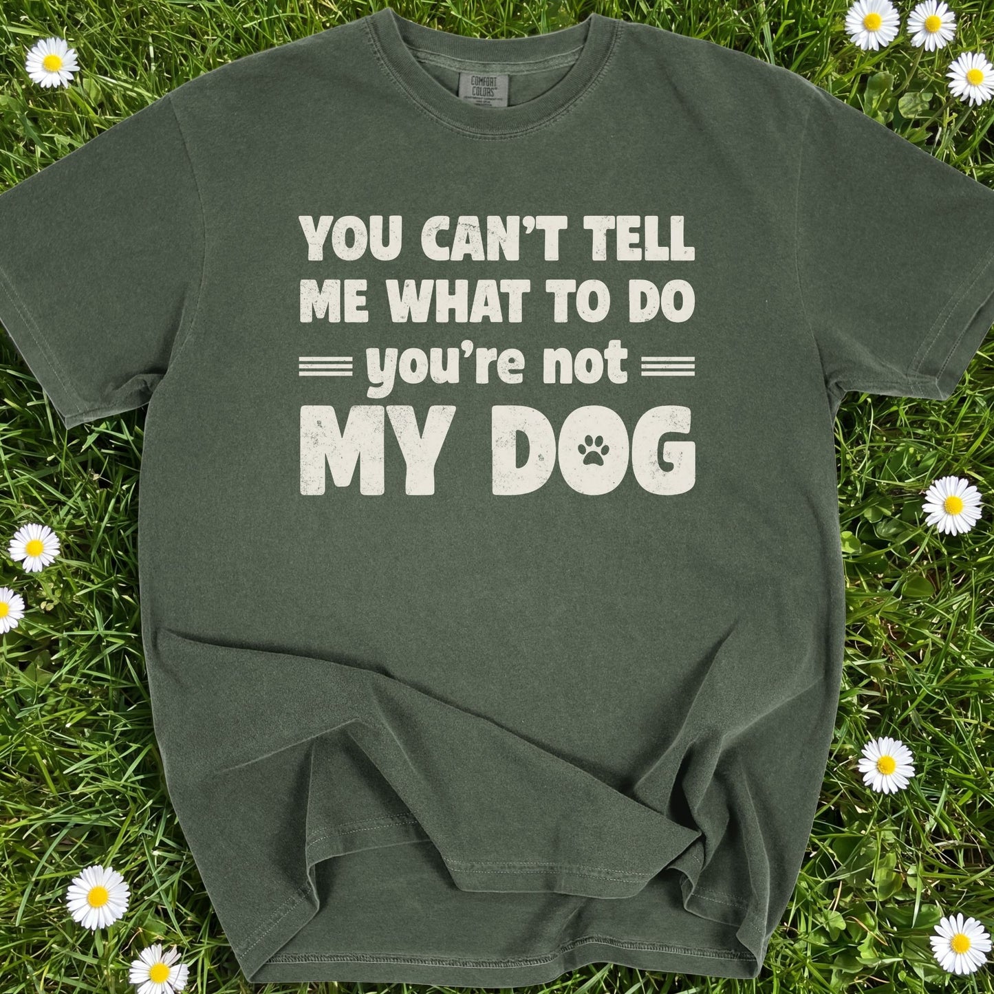 You Can't Tell Me What To Do - Comfort Colors Premium Tee