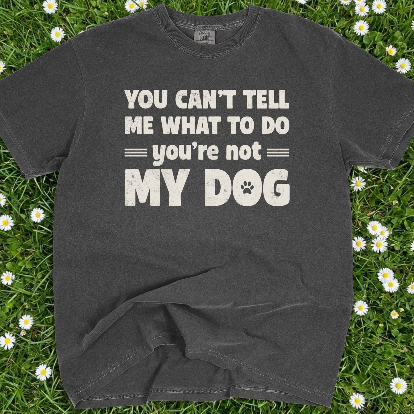 You Can't Tell Me What To Do - Comfort Colors Premium Tee