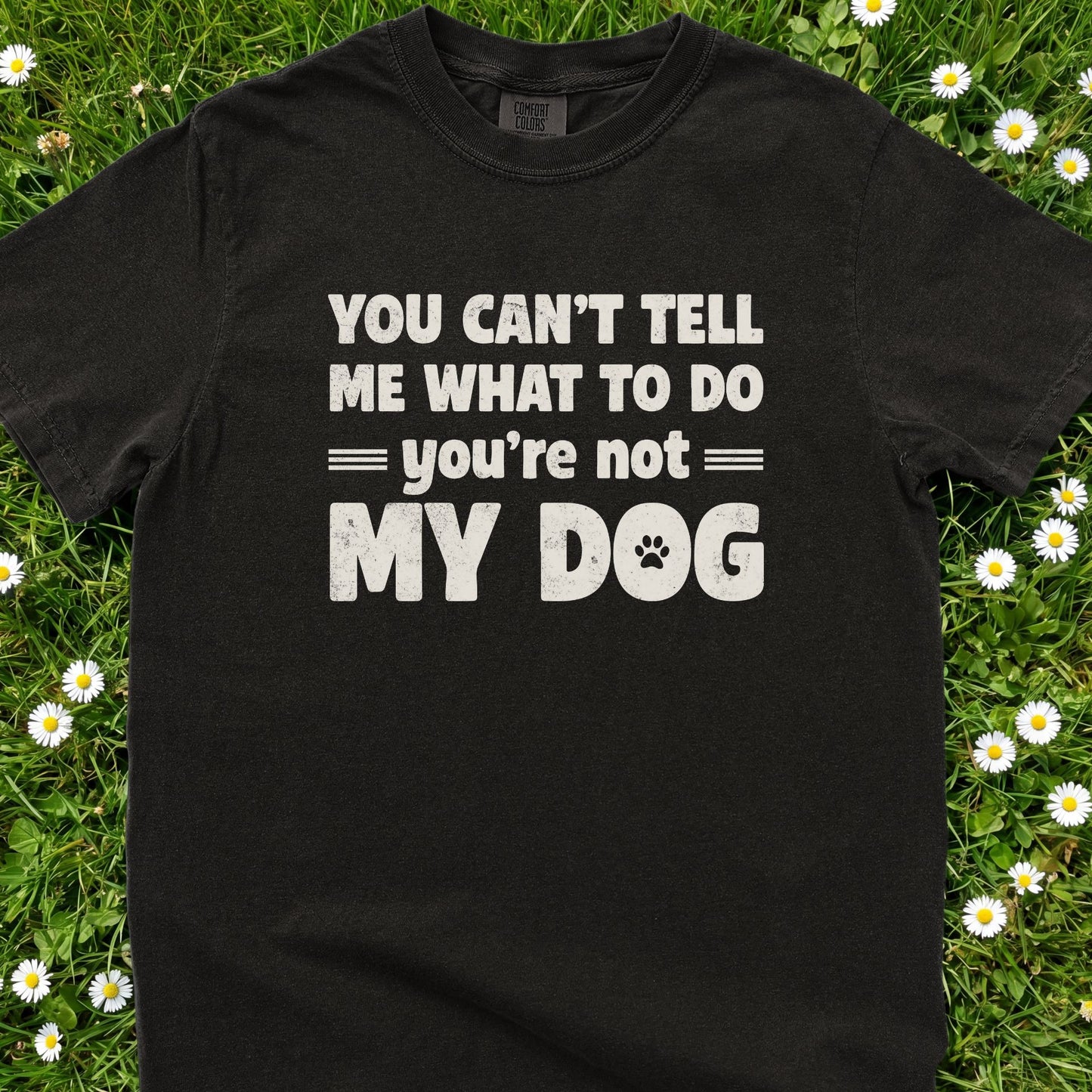 You Can't Tell Me What To Do - Comfort Colors Premium Tee