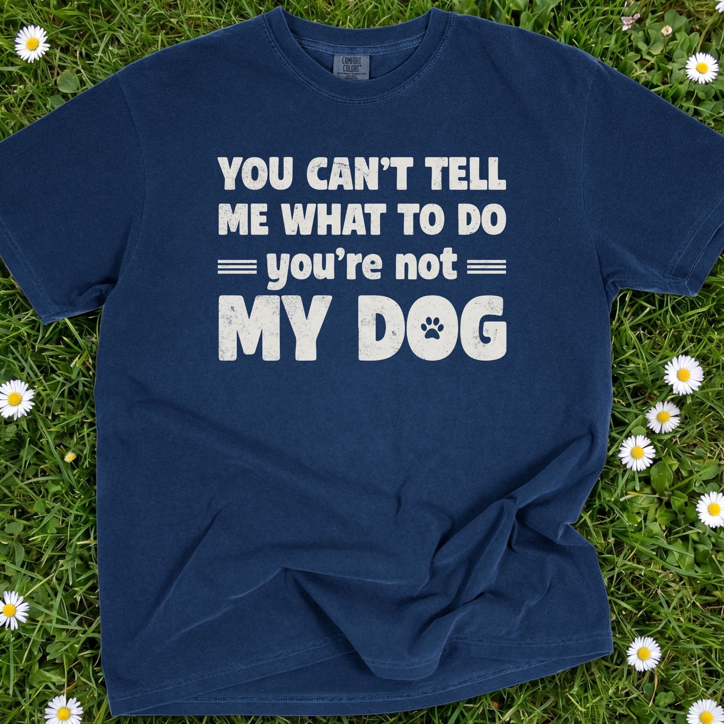 You Can't Tell Me What To Do - Comfort Colors Premium Tee