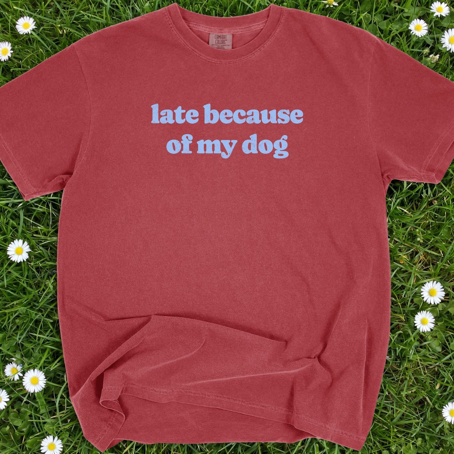 Late Because Of My Dog - Comfort Colors Premium Tee